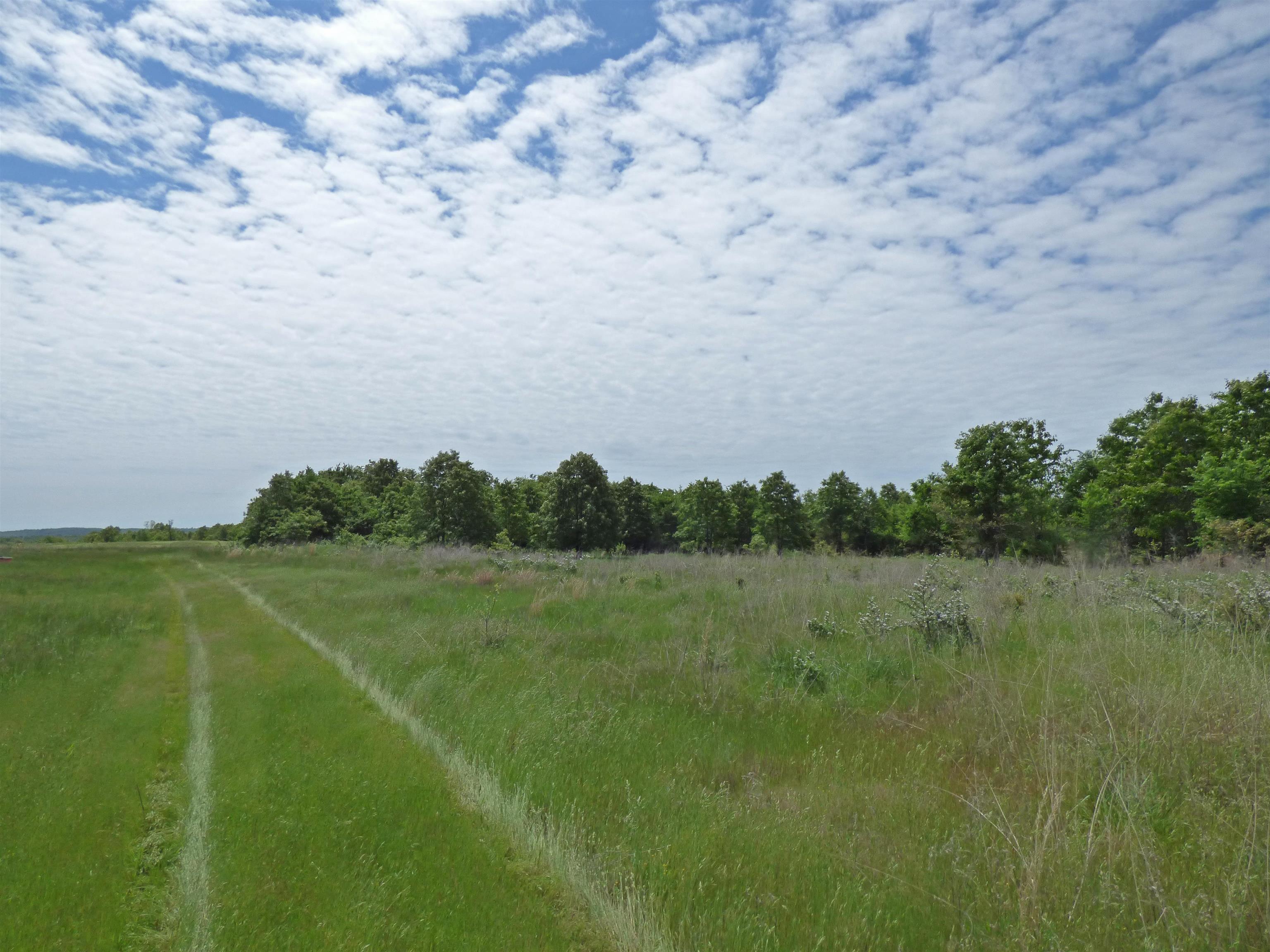 Herron  Ash Flat, AR