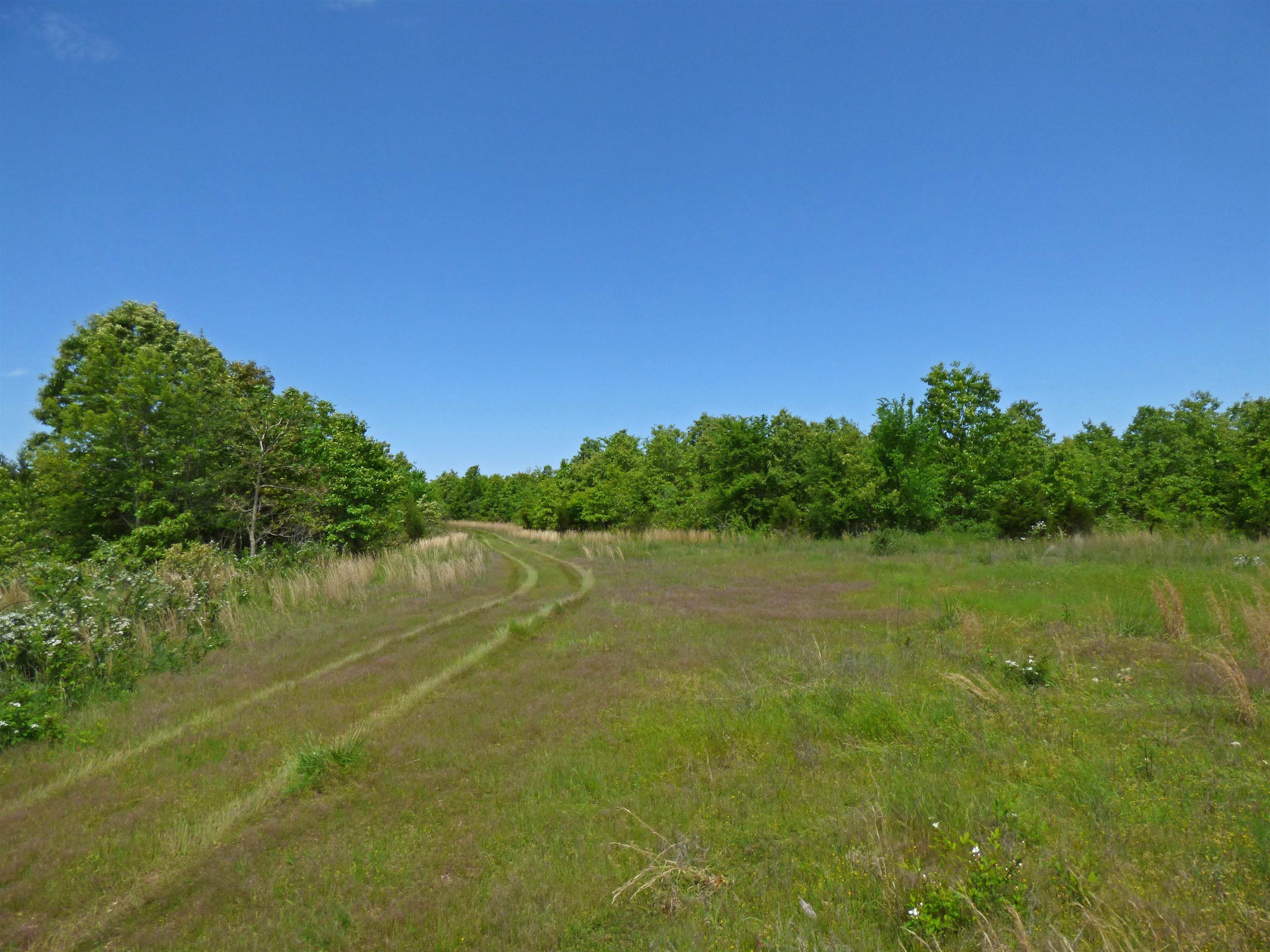  Herron  Ash Flat, AR