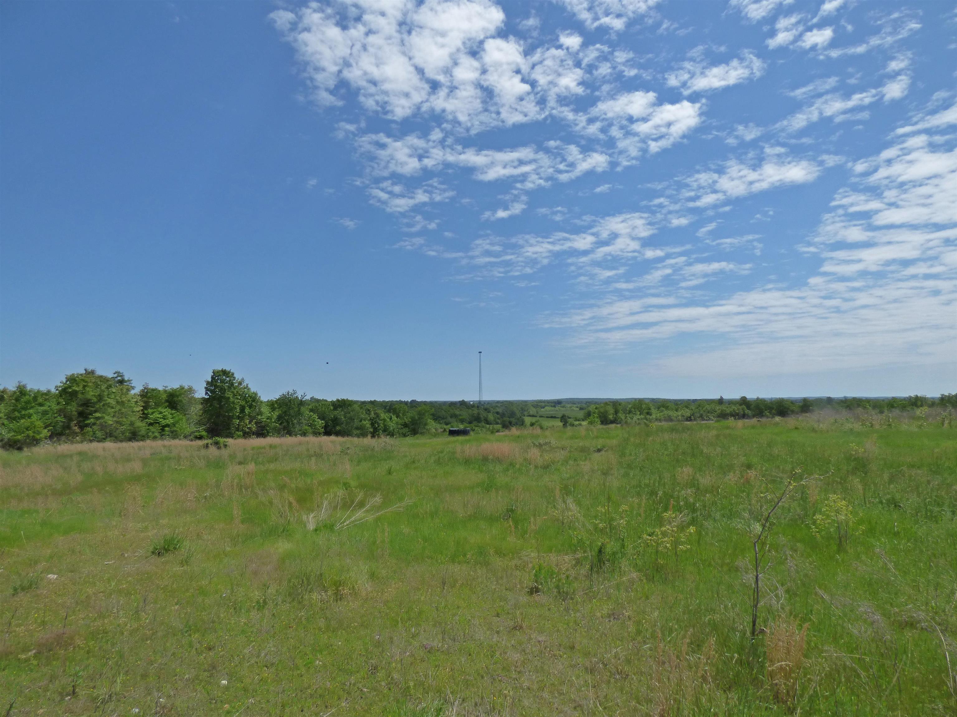  Herron  Ash Flat, AR