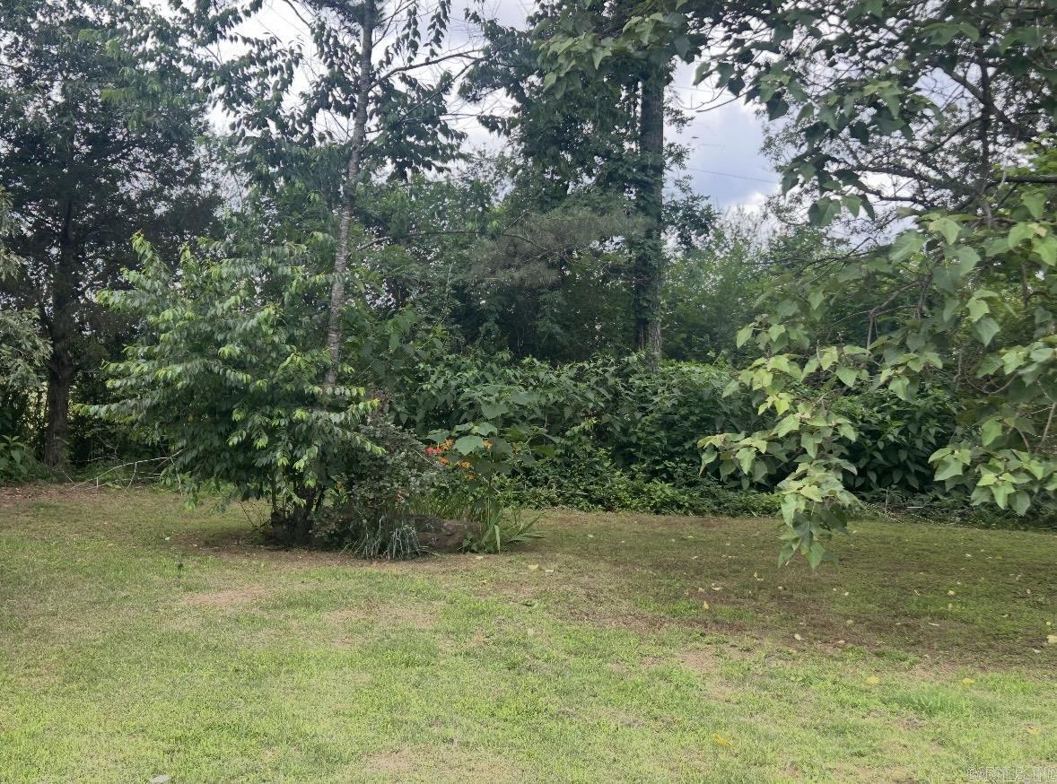 102 Hankins  Pleasant Plains, AR