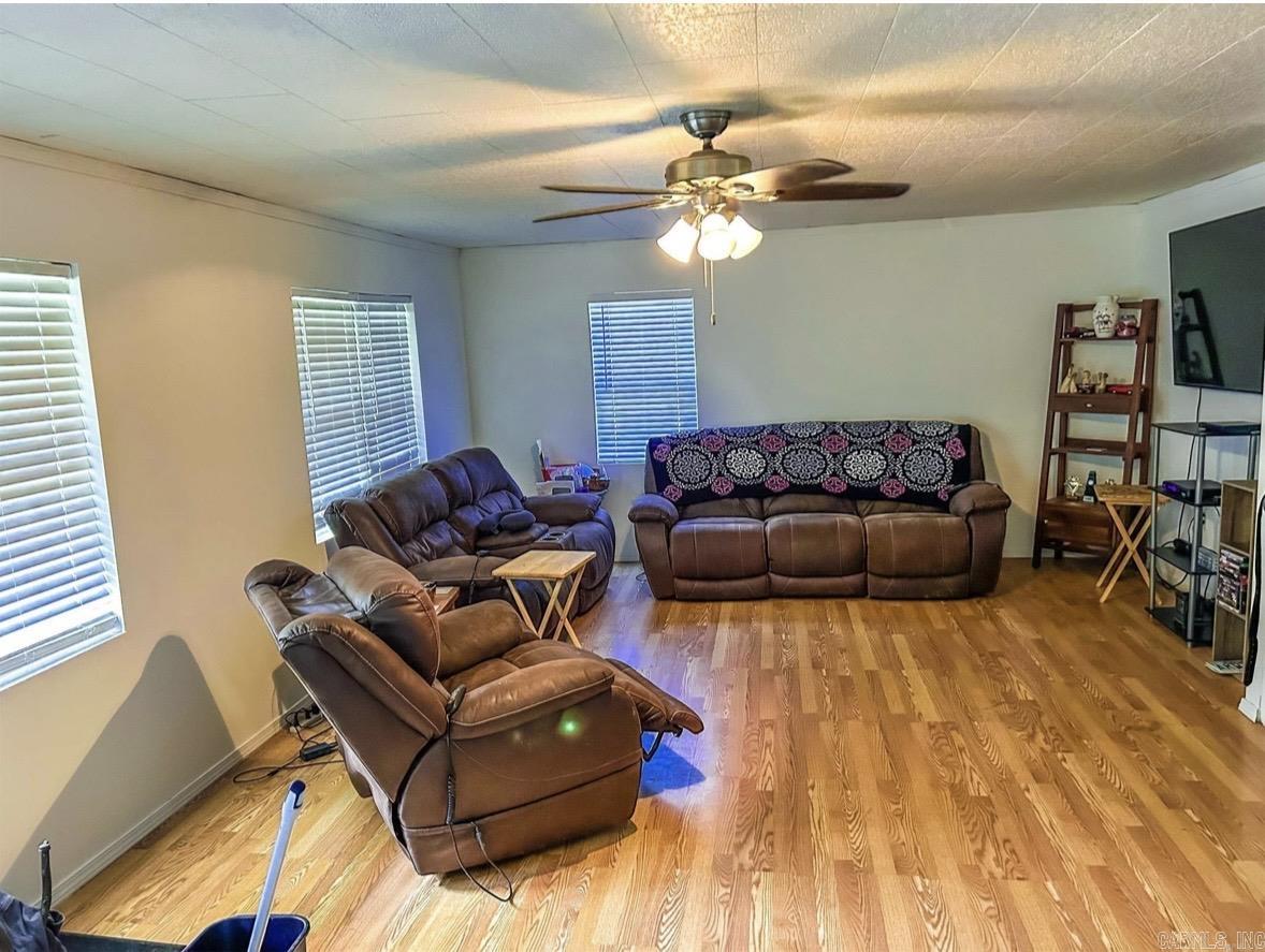 102 Hankins  Pleasant Plains, AR