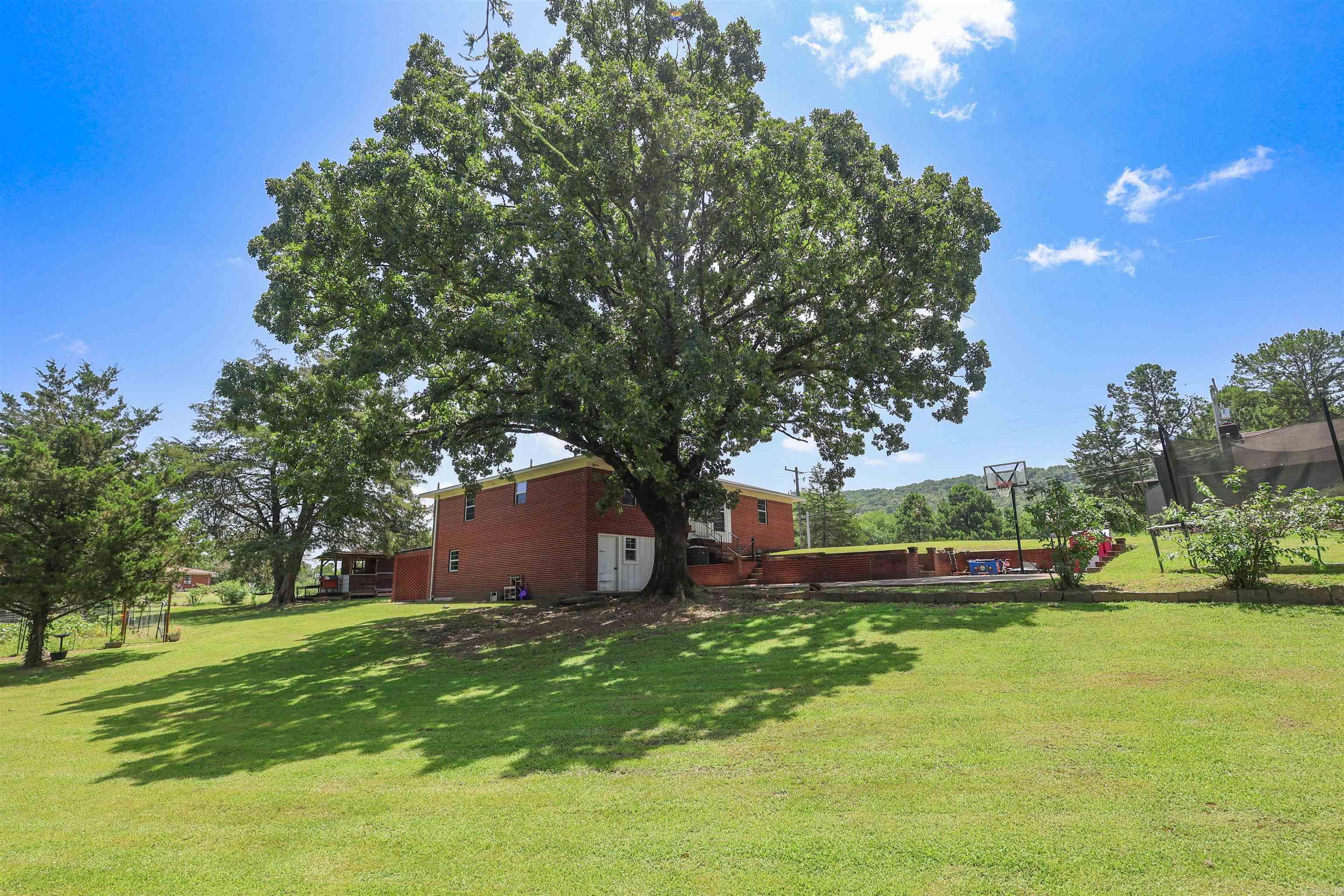 132 South  Mount Ida, AR
