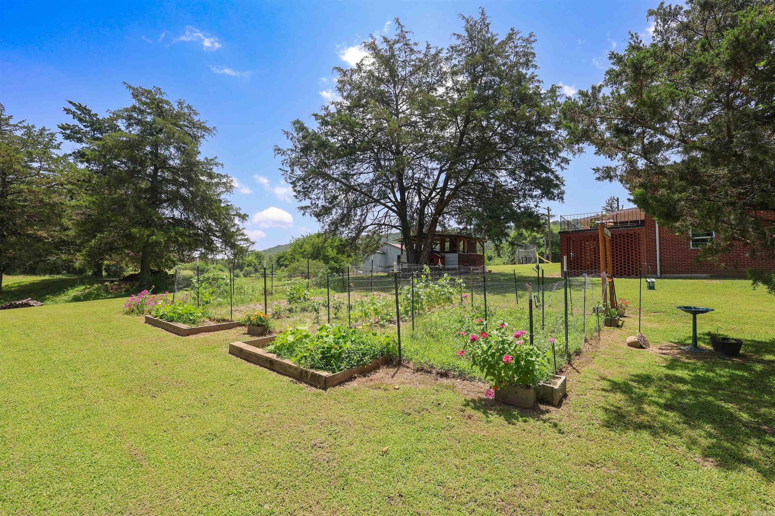 132 South  Mount Ida, AR