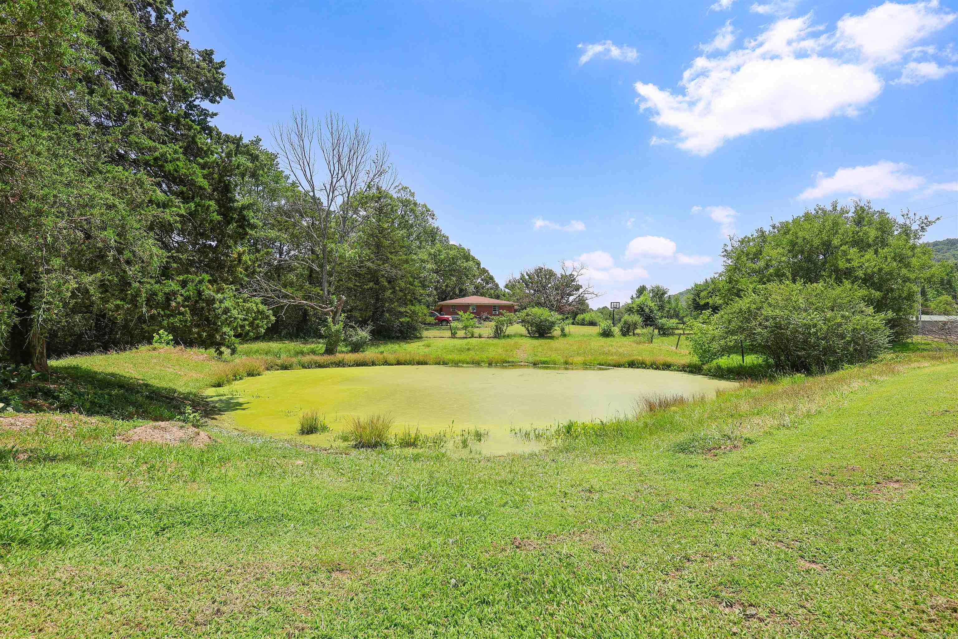 132 South  Mount Ida, AR