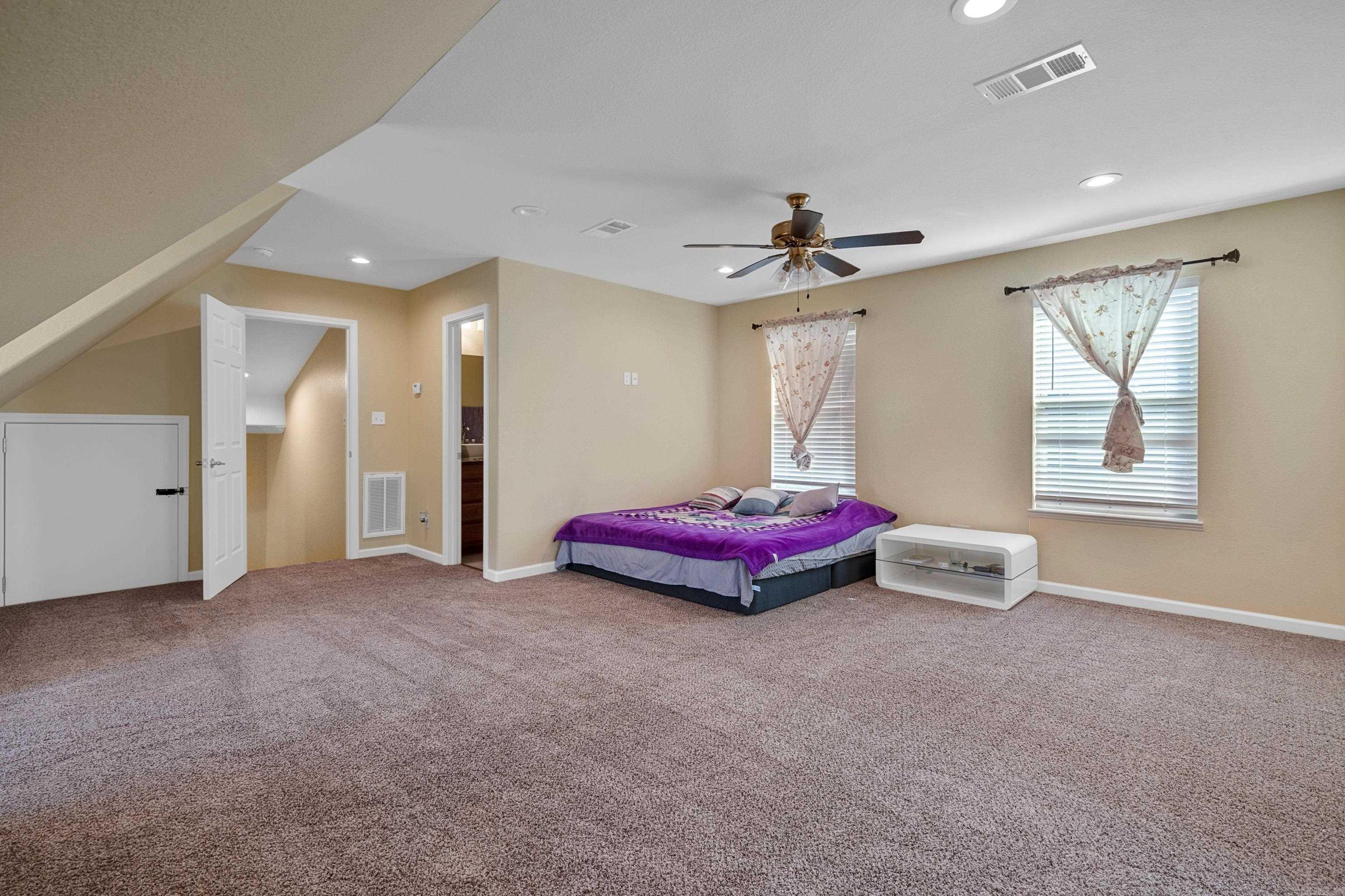 125 Coneflower  Hot Springs, AR