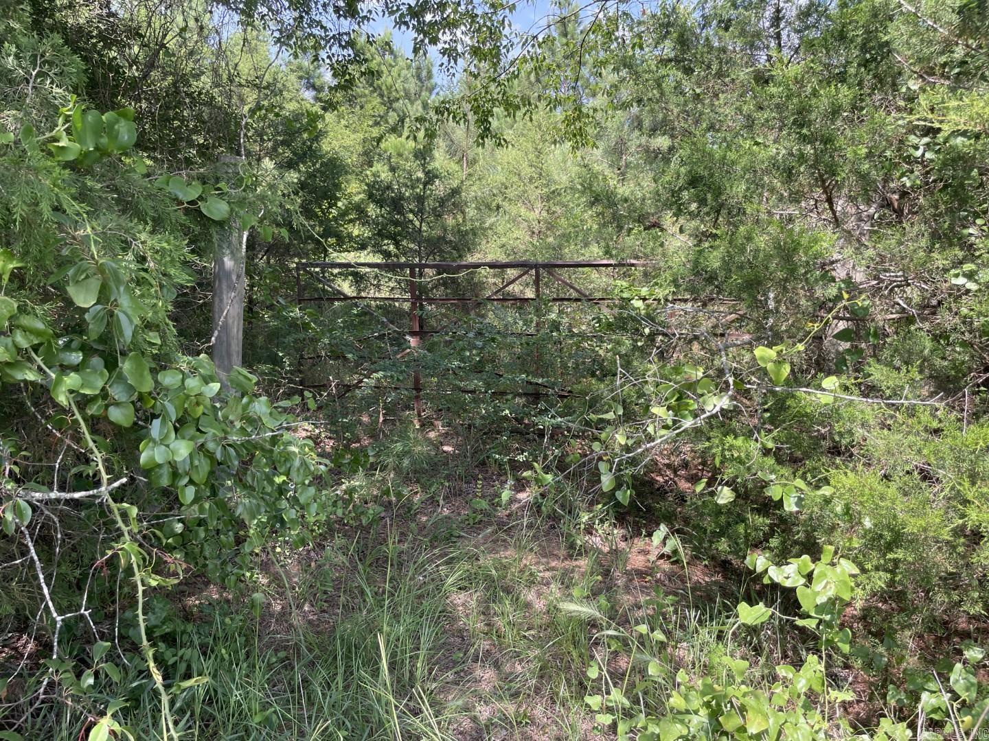  Edgemont  Quitman, AR