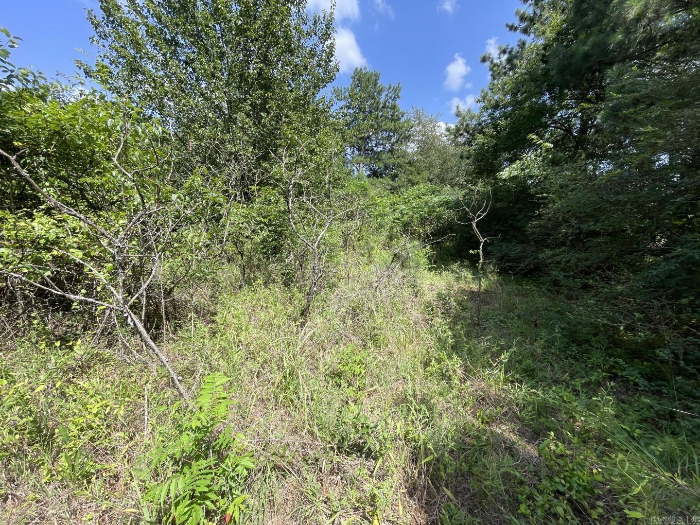  Edgemont  Quitman, AR