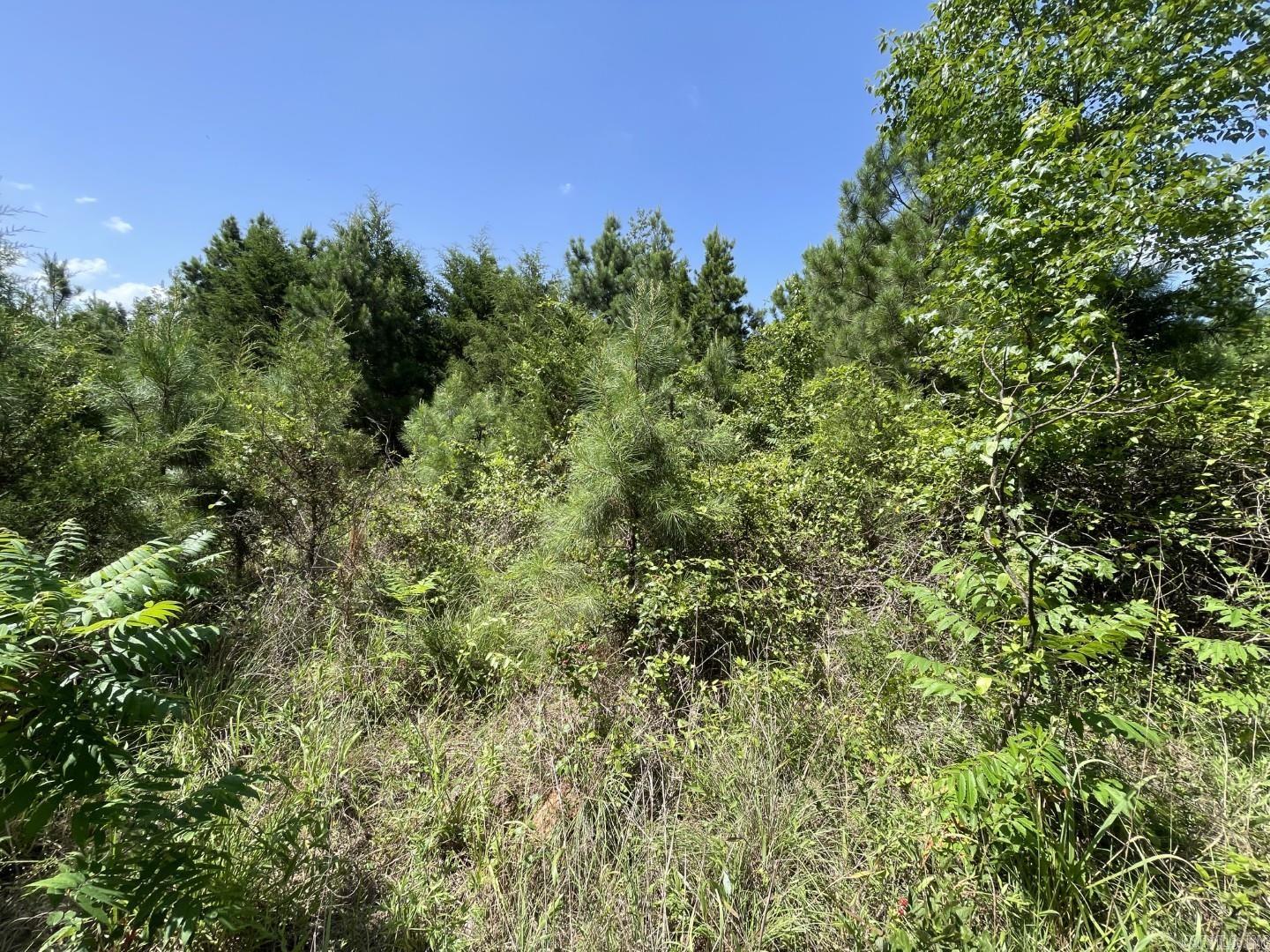  Edgemont  Quitman, AR