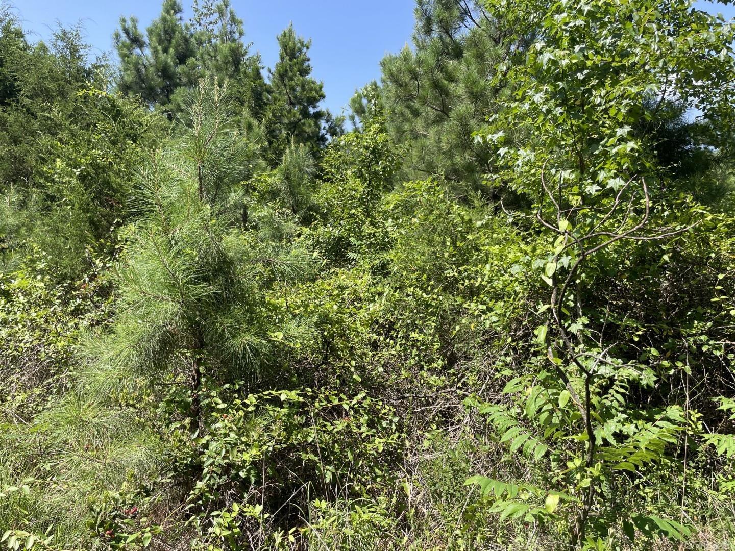  Edgemont  Quitman, AR