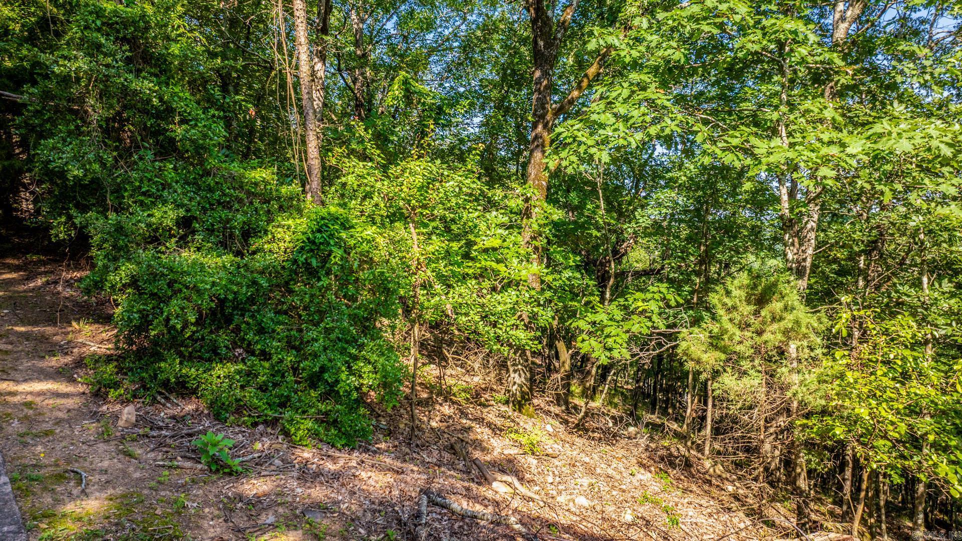 Lot 17 River Ridge Pt.  Little Rock, AR