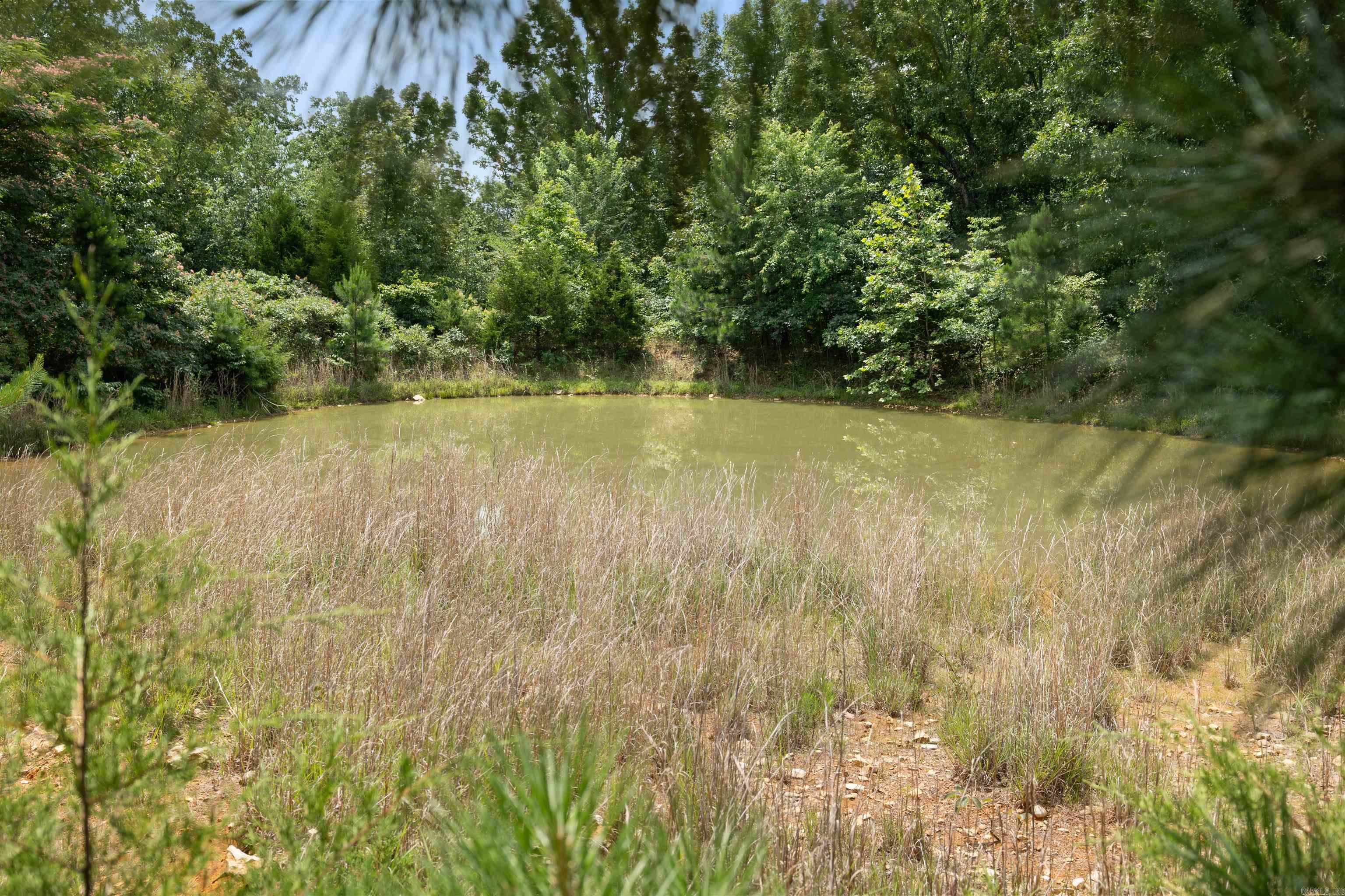 6754 Oak Ridge  Ravenden Springs, AR