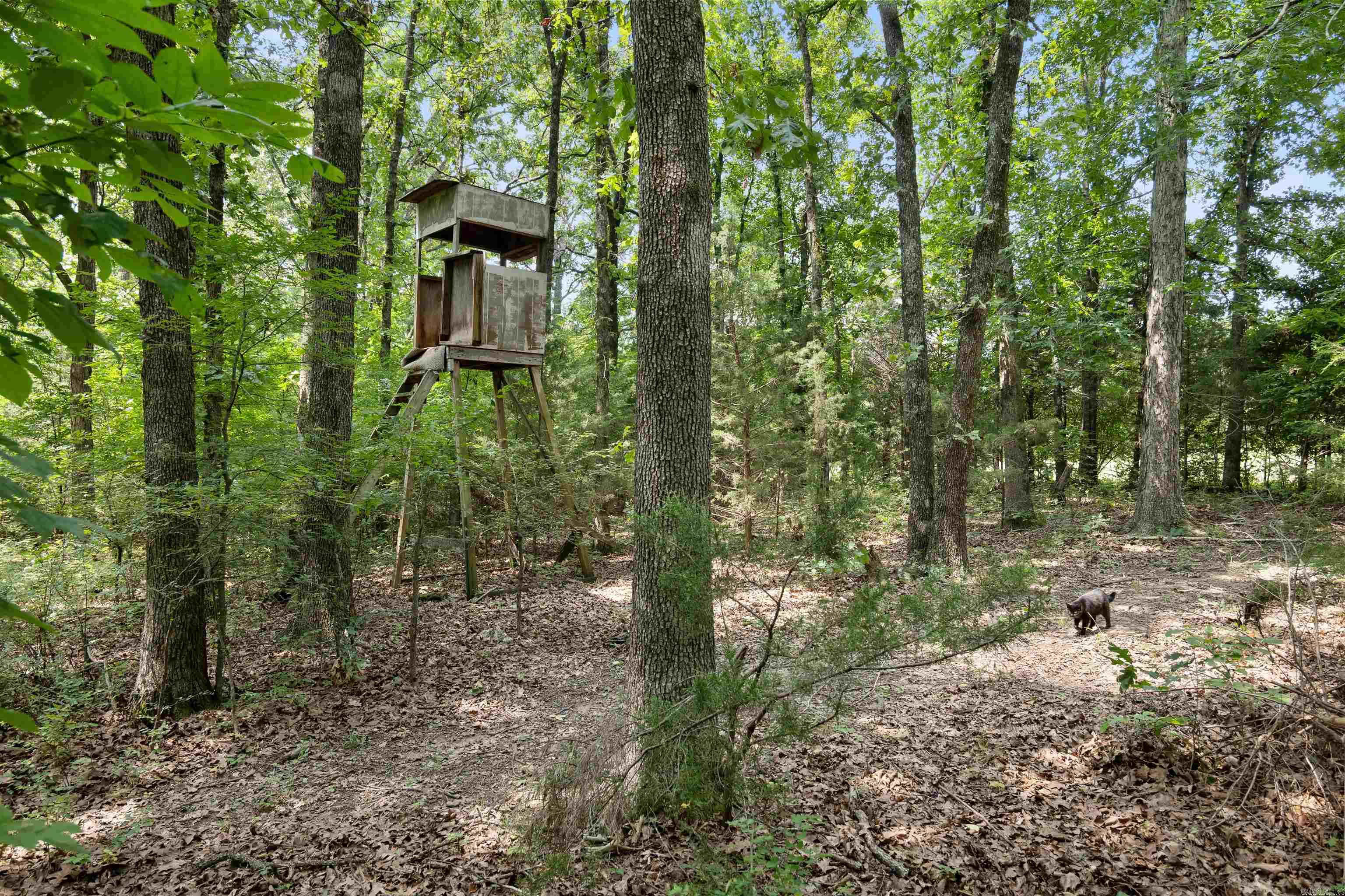6754 Oak Ridge  Ravenden Springs, AR