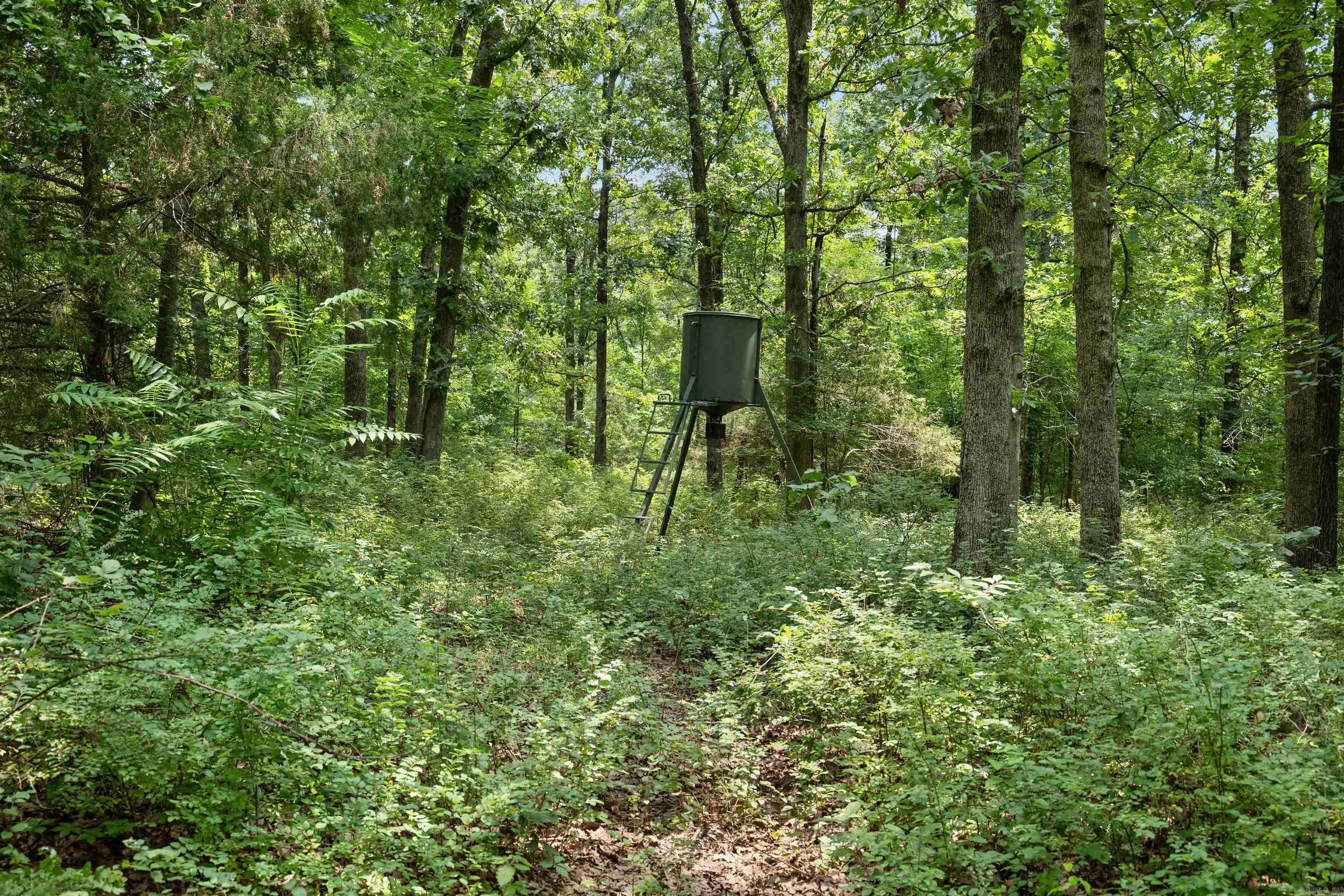 6754 Oak Ridge  Ravenden Springs, AR