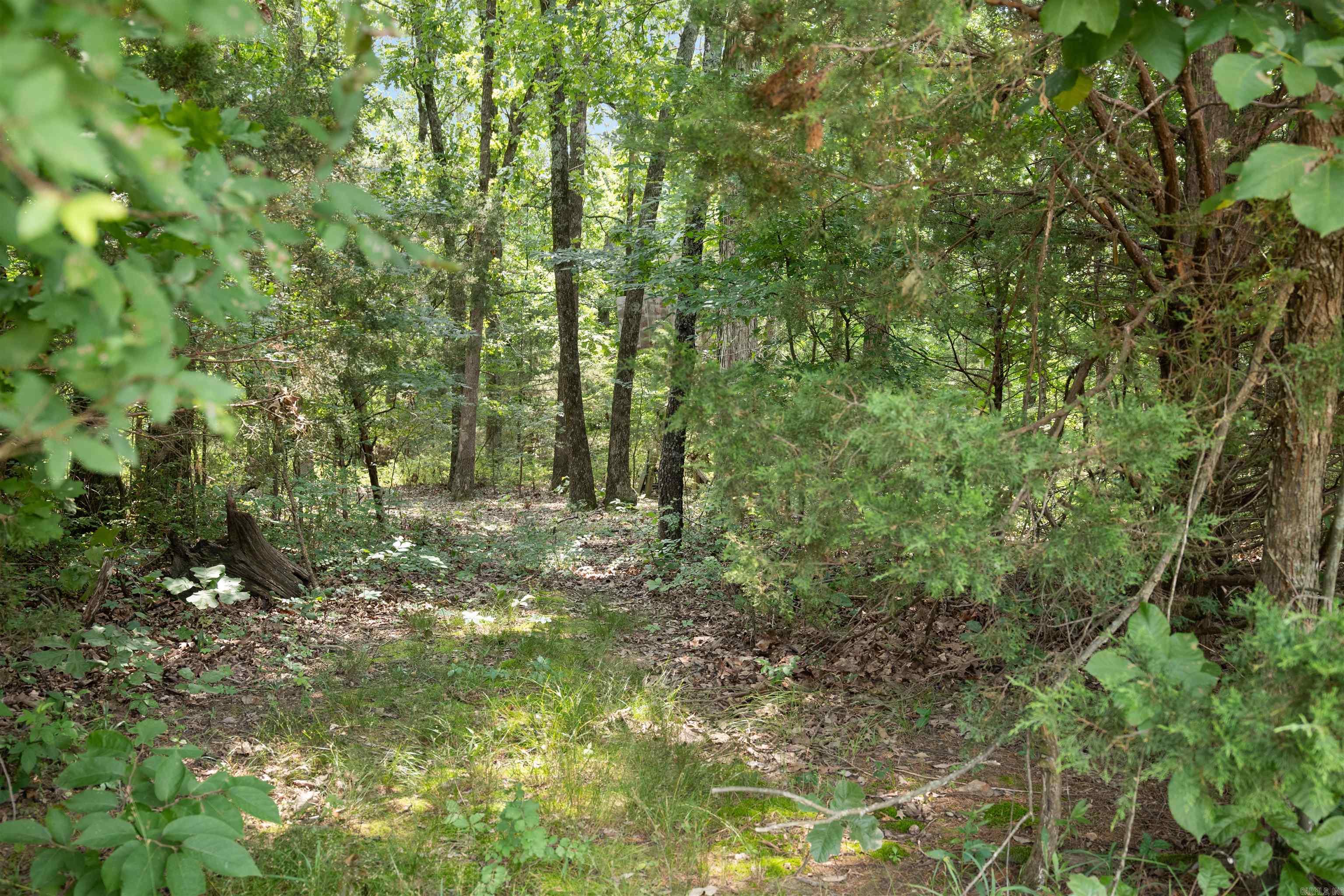6754 Oak Ridge  Ravenden Springs, AR