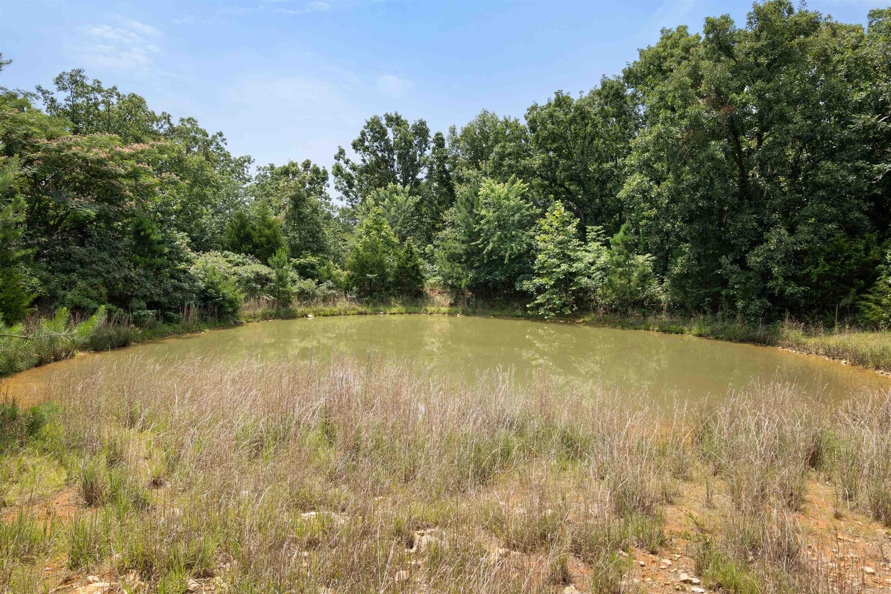 6754 Oak Ridge  Ravenden Springs, AR