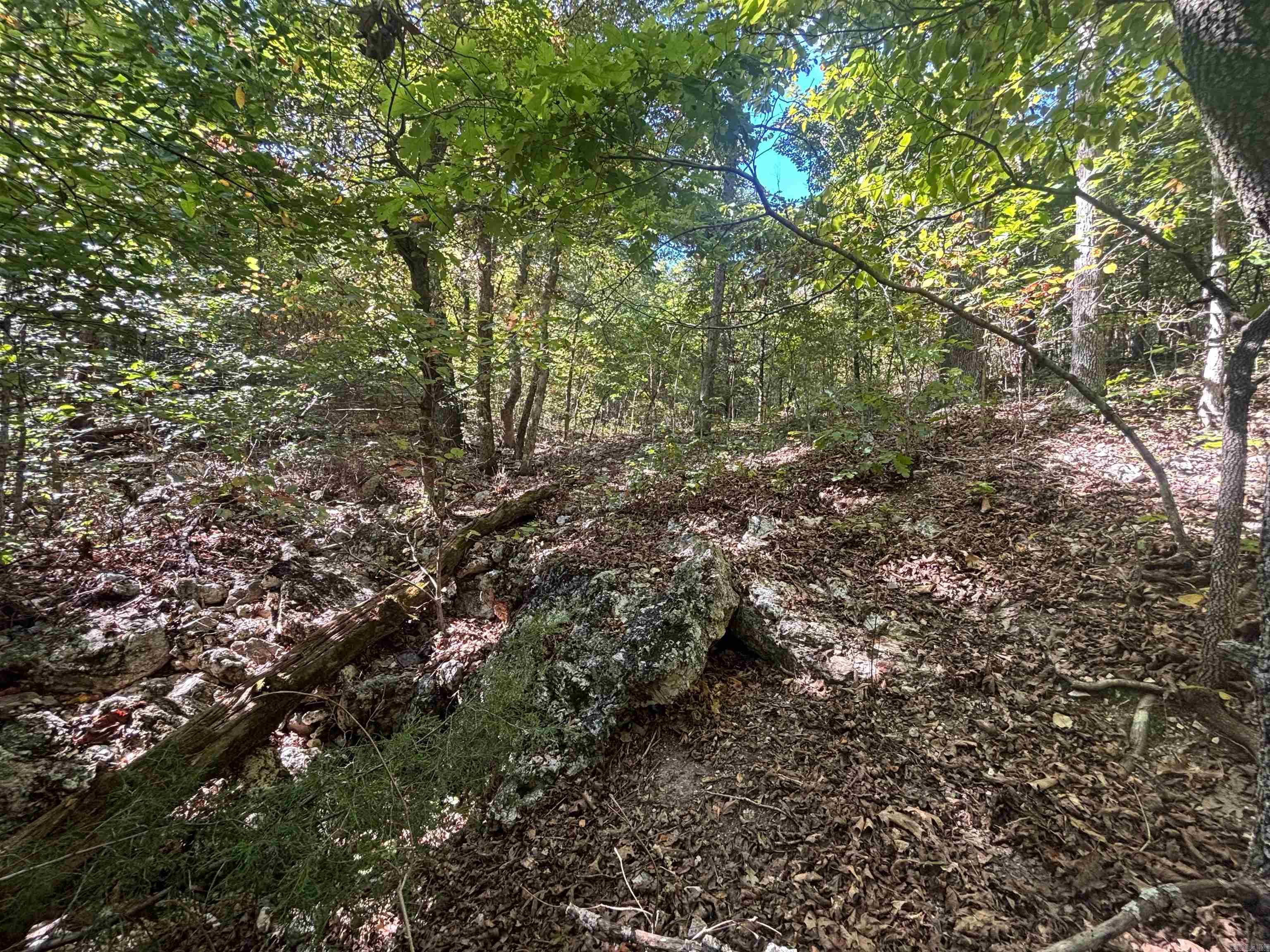 000 Ridgehaven Road