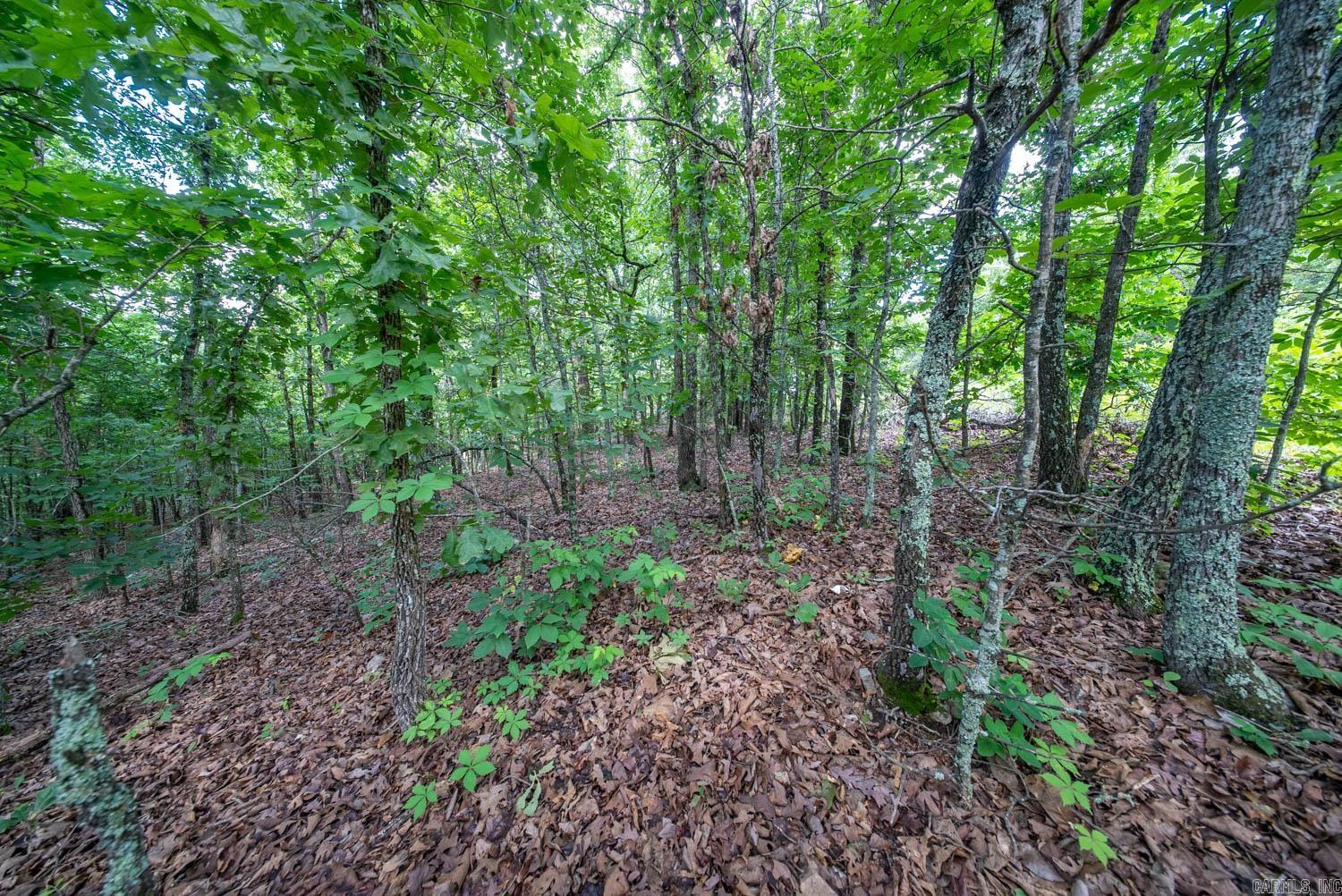000 Ridgehaven Road