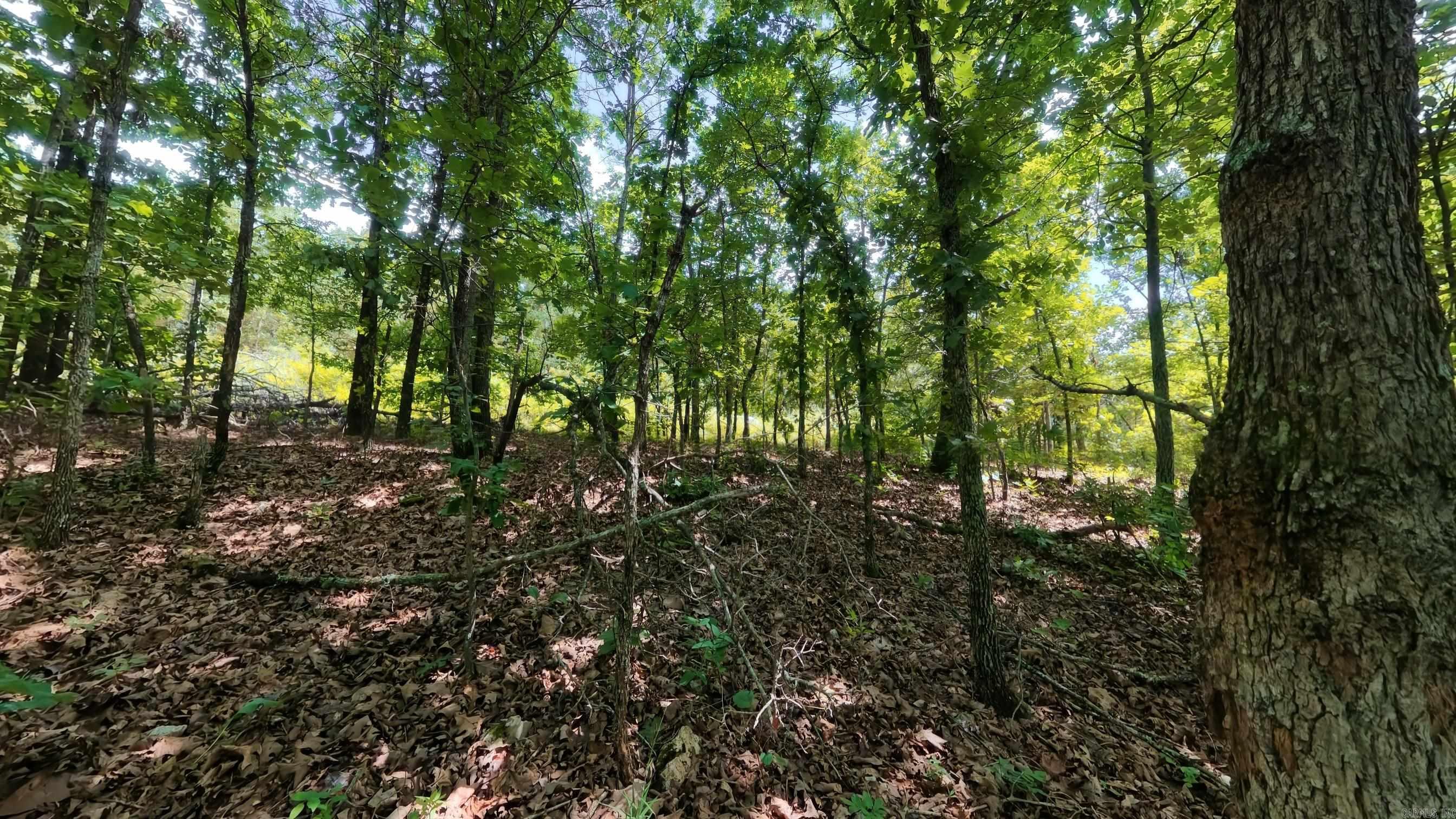 000 Ridgehaven Road