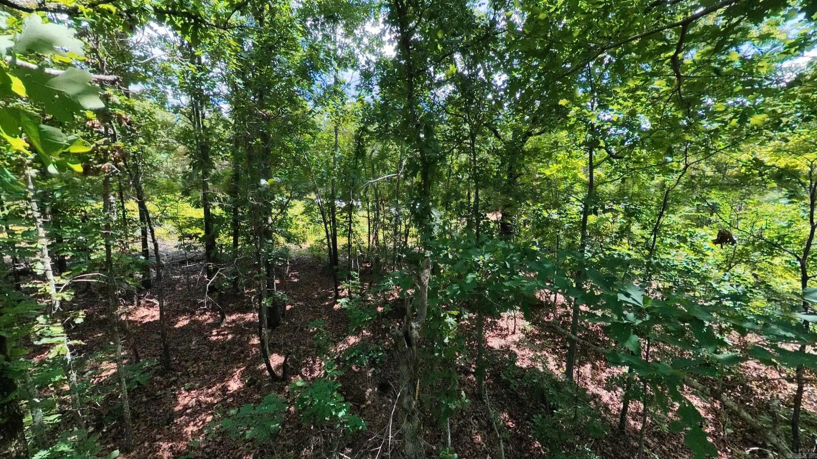 000 Ridgehaven Road
