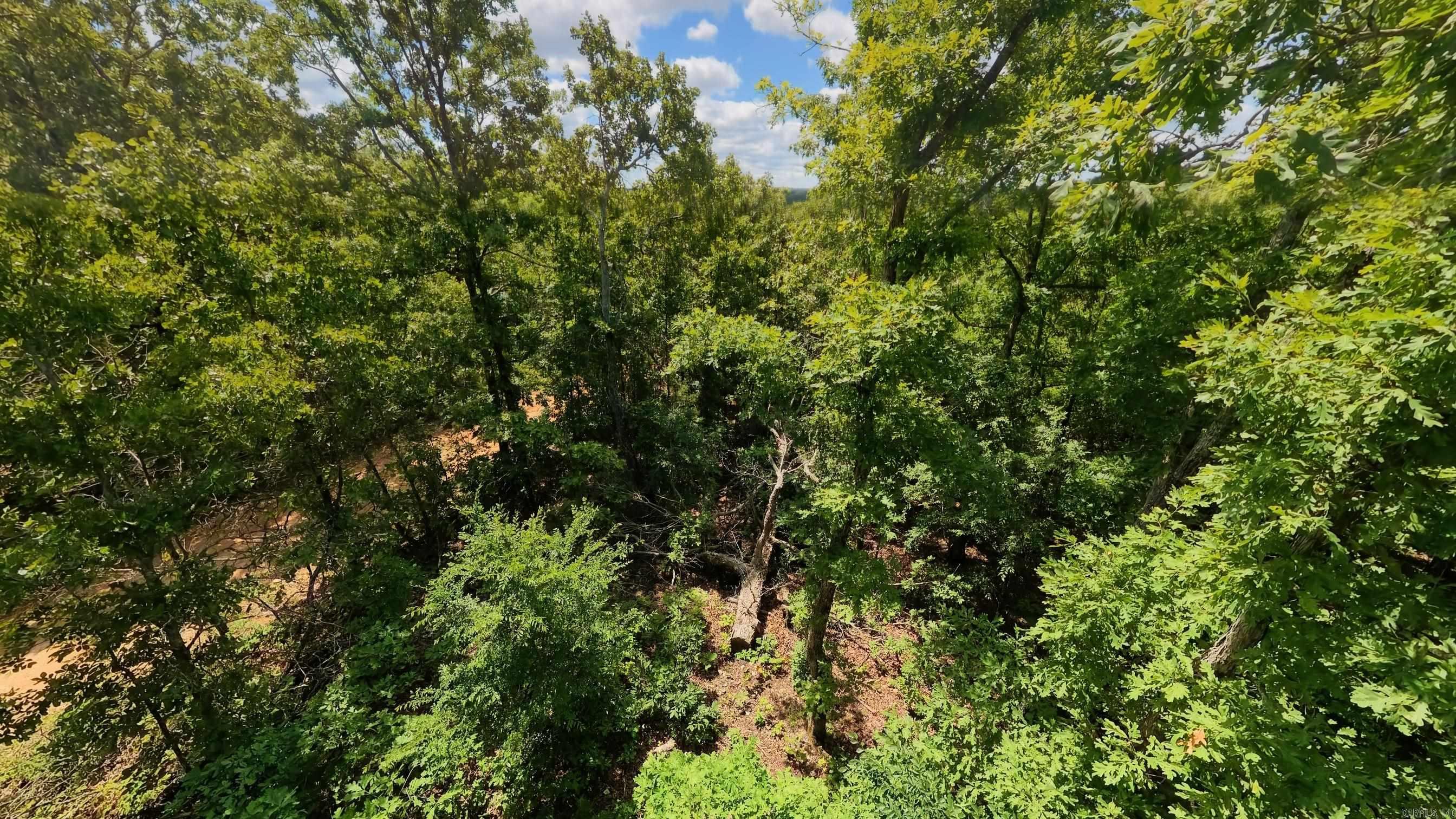 000 Ridgehaven Road