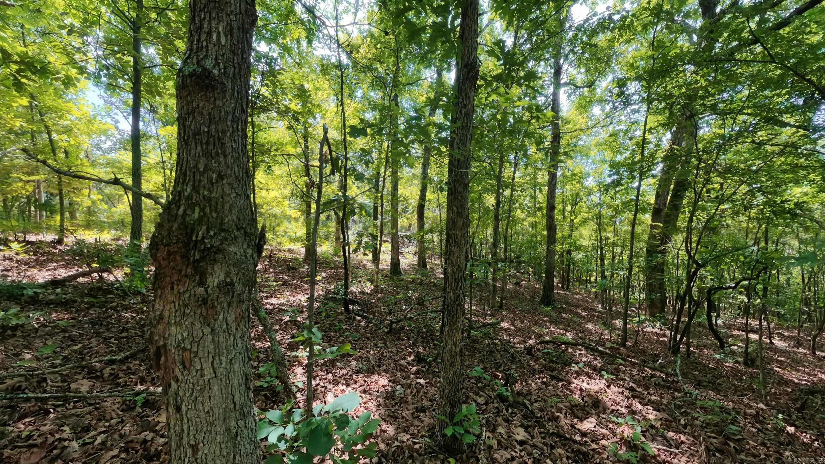 000 Ridgehaven  Mammoth Spring, AR