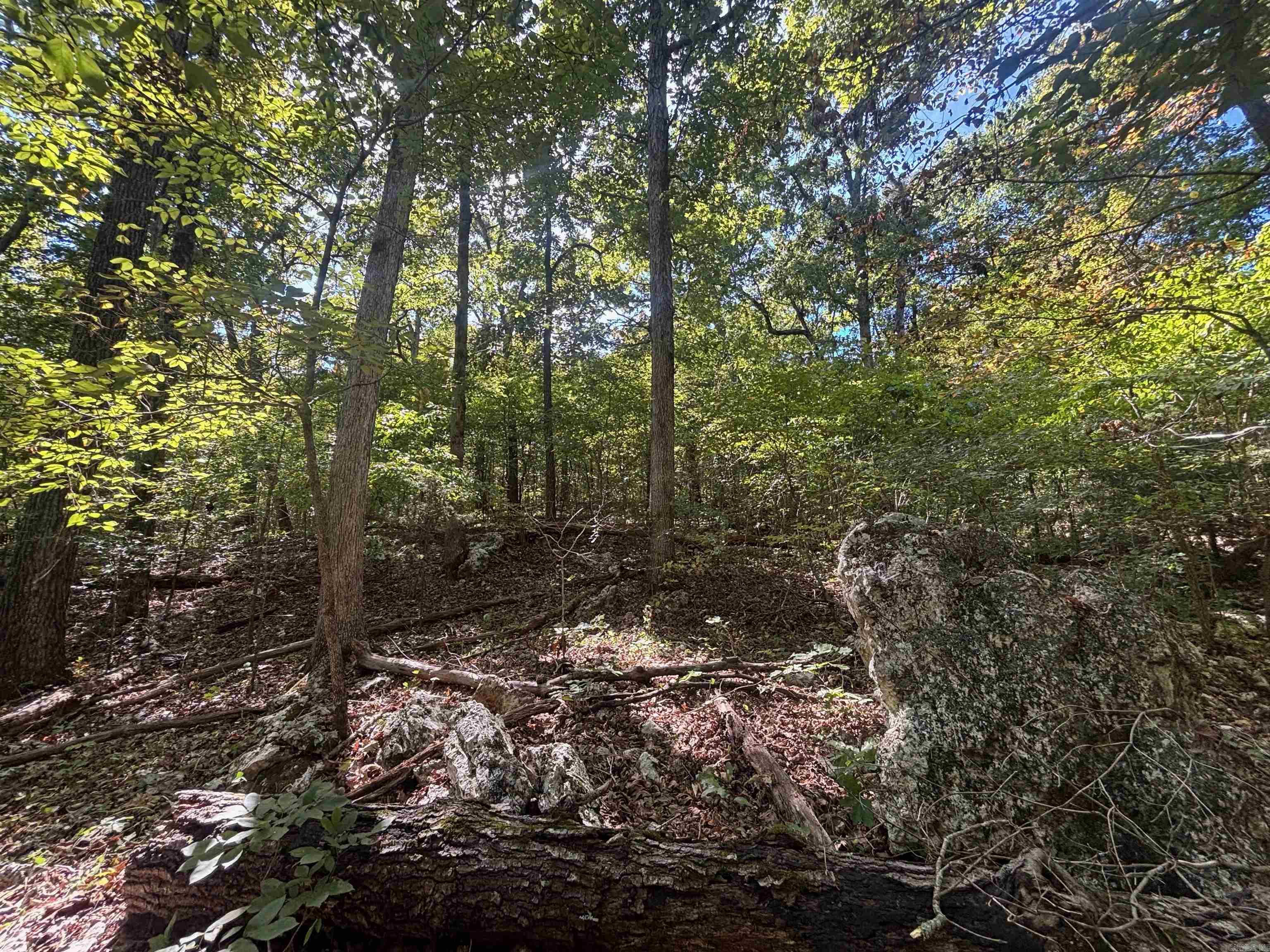 000 Ridgehaven Road
