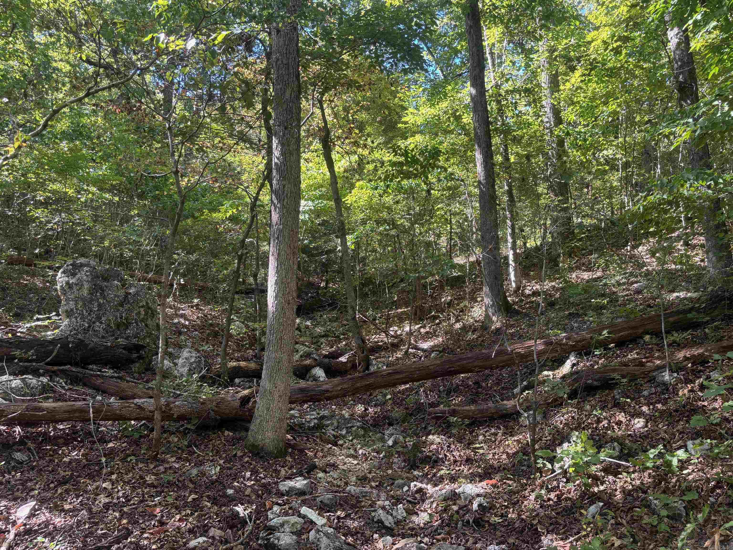 000 Ridgehaven Road