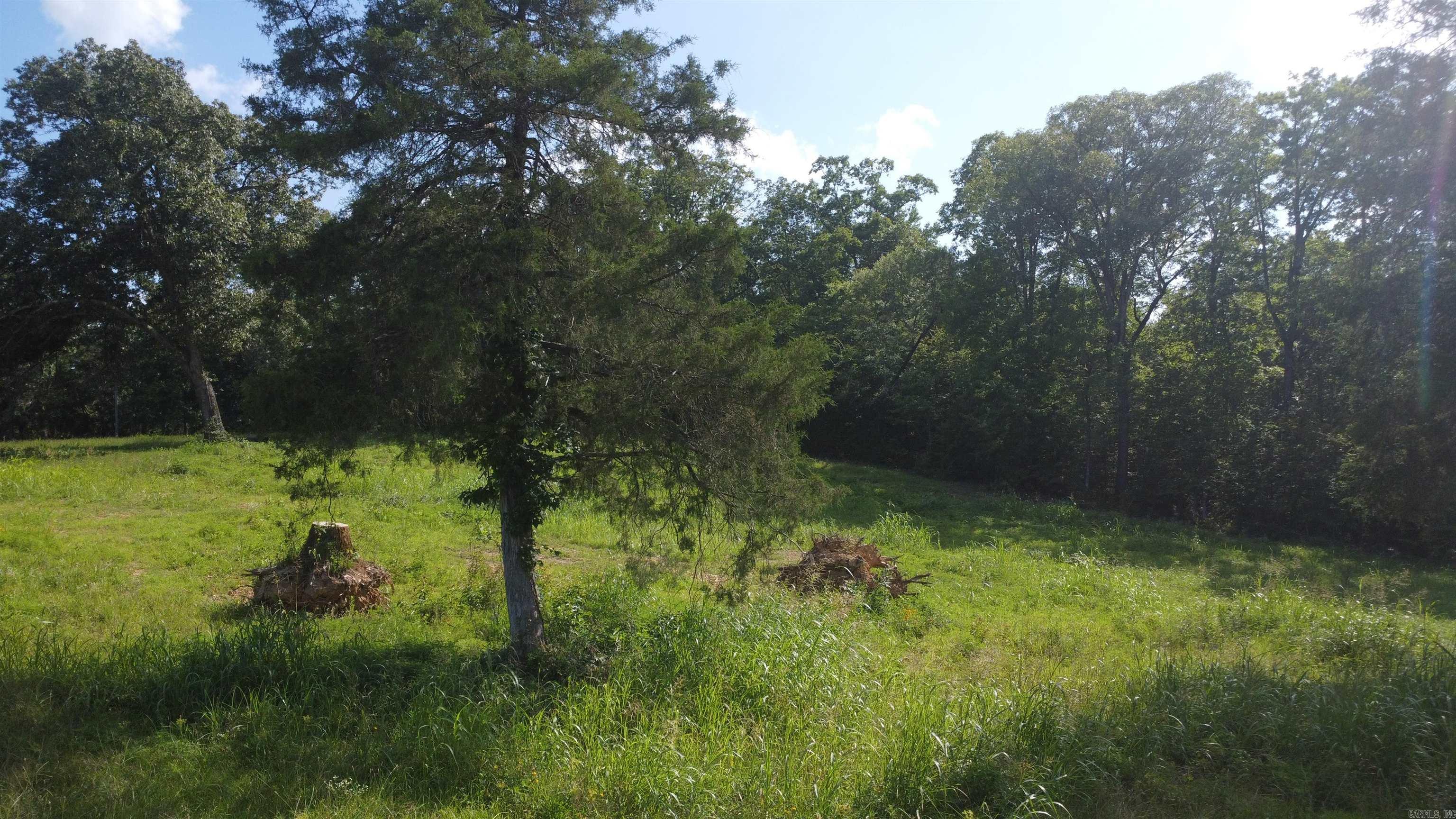 (Tract 07) TBD Whittington Homestead  Story, AR