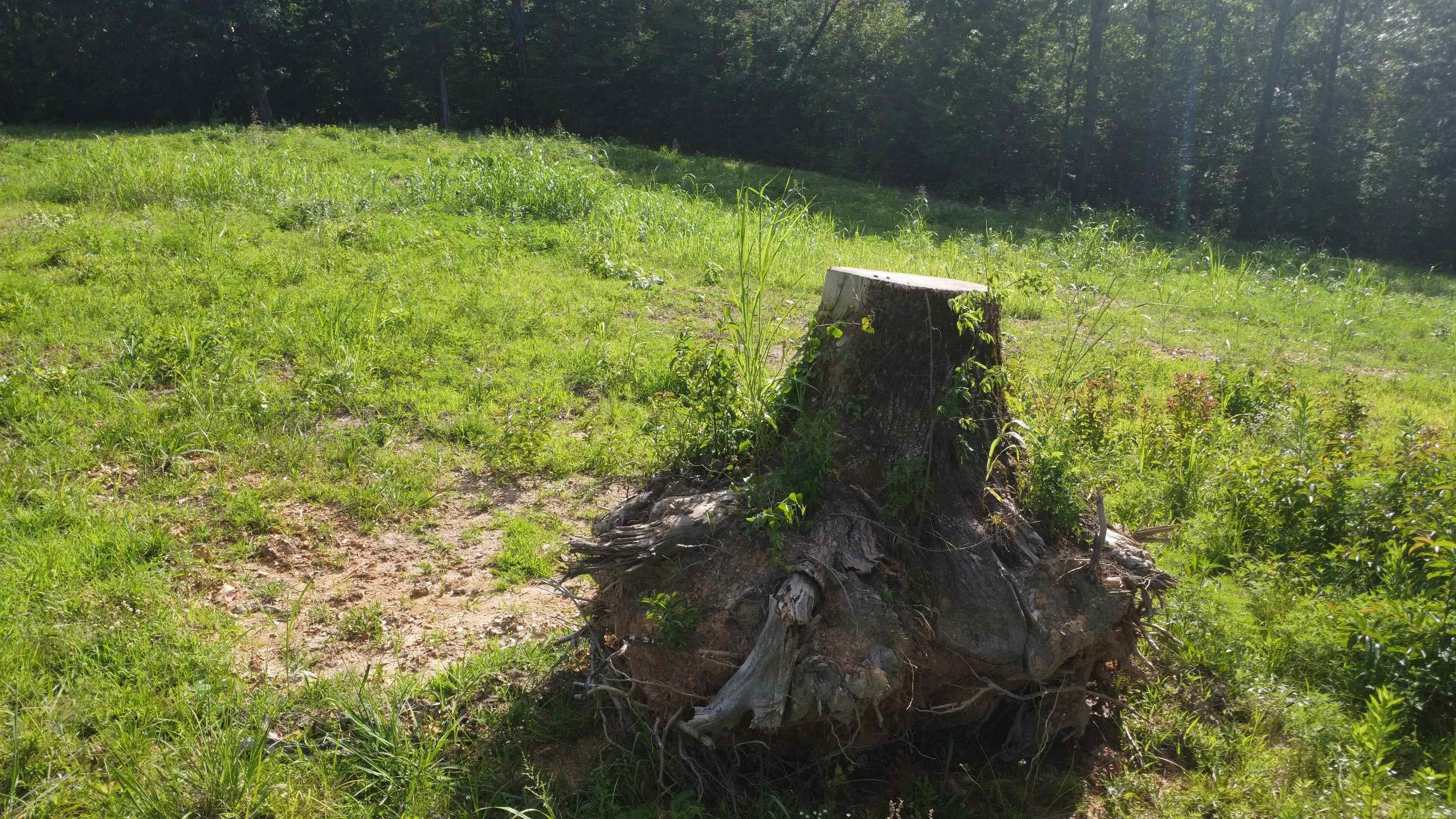 (Tract 07) TBD Whittington Homestead  Story, AR