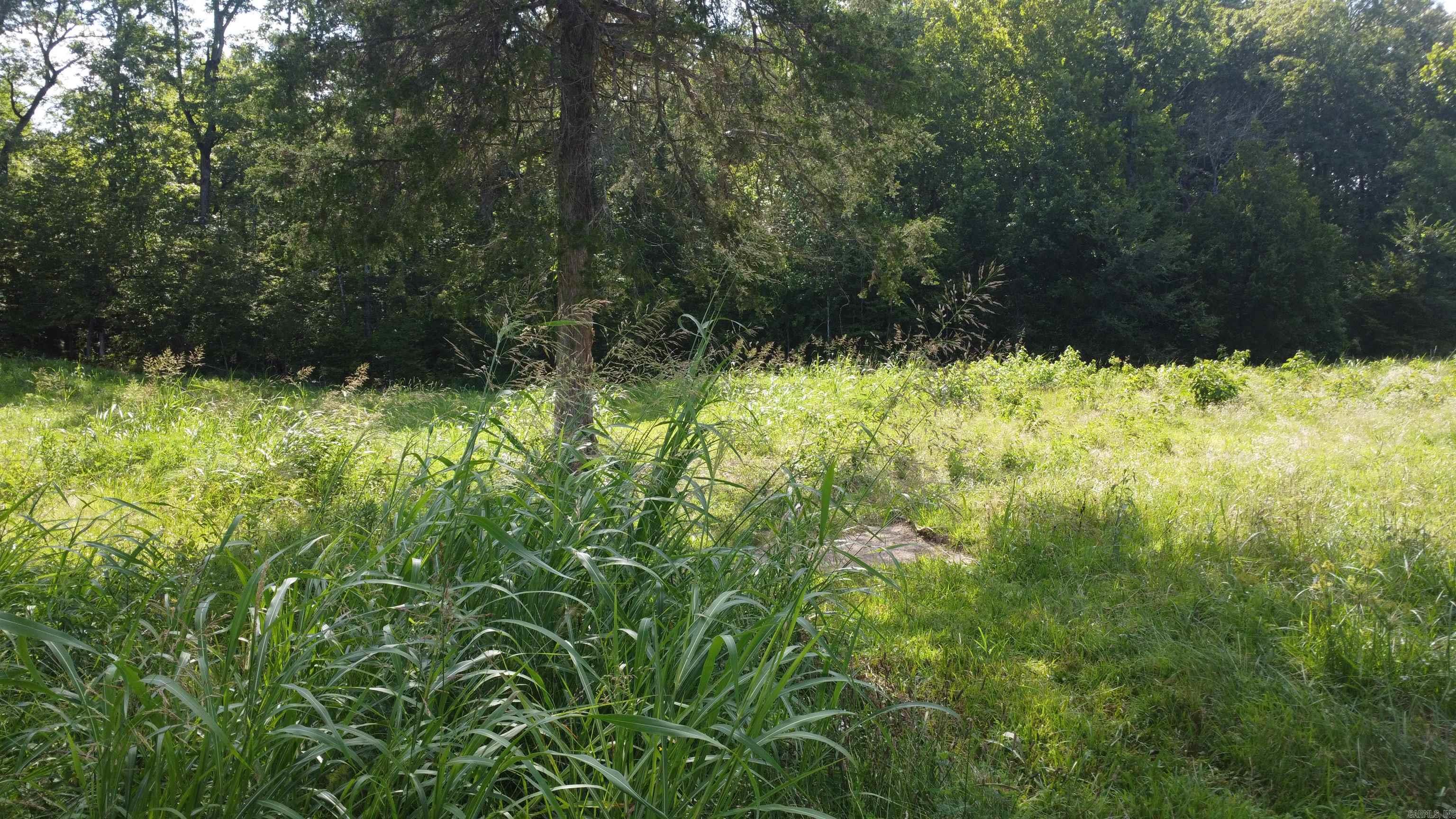 (Tract 07) TBD Whittington Homestead  Story, AR