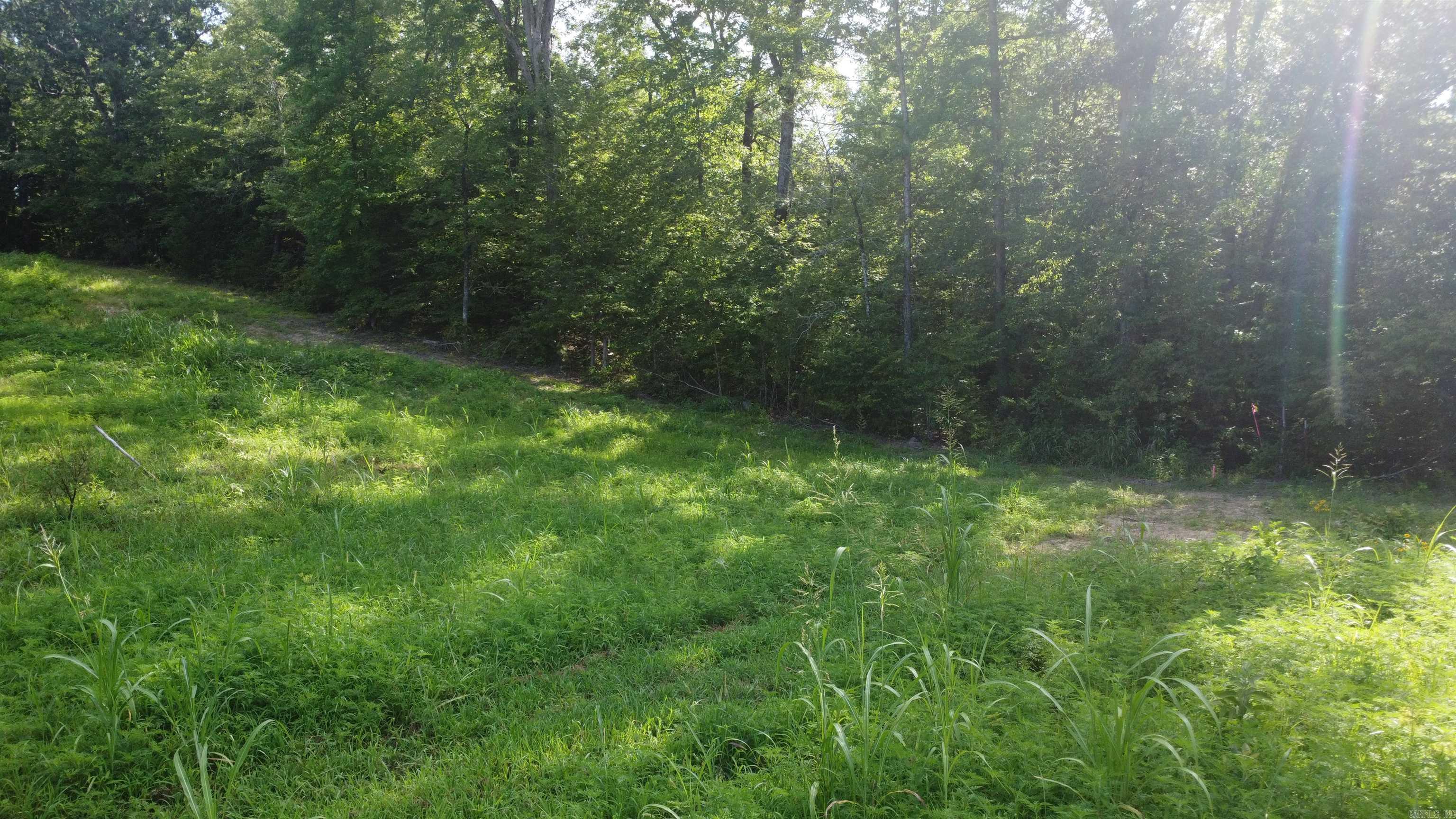 (Tract 07) TBD Whittington Homestead  Story, AR
