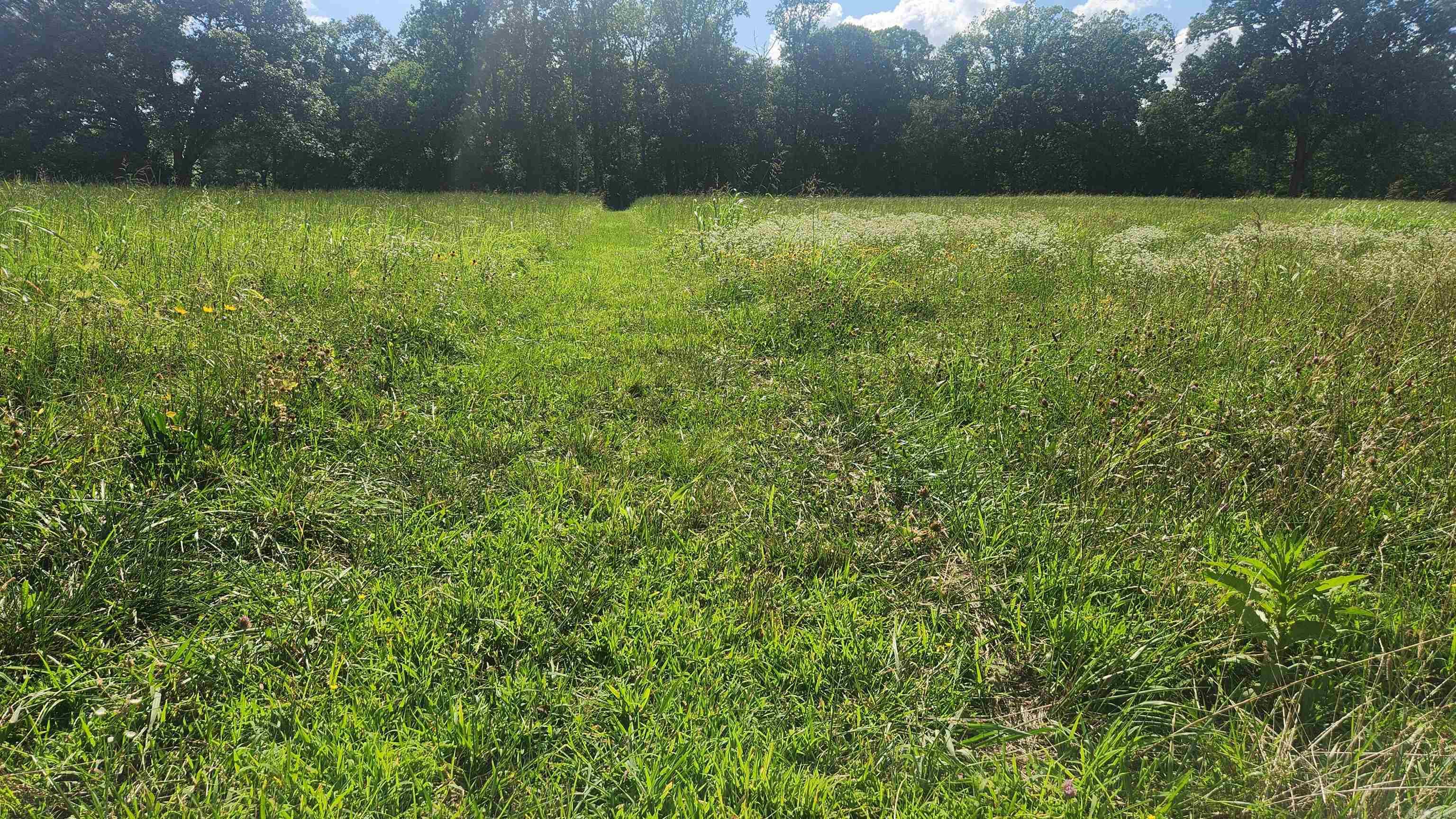 (Tract 07) TBD Whittington Homestead  Story, AR