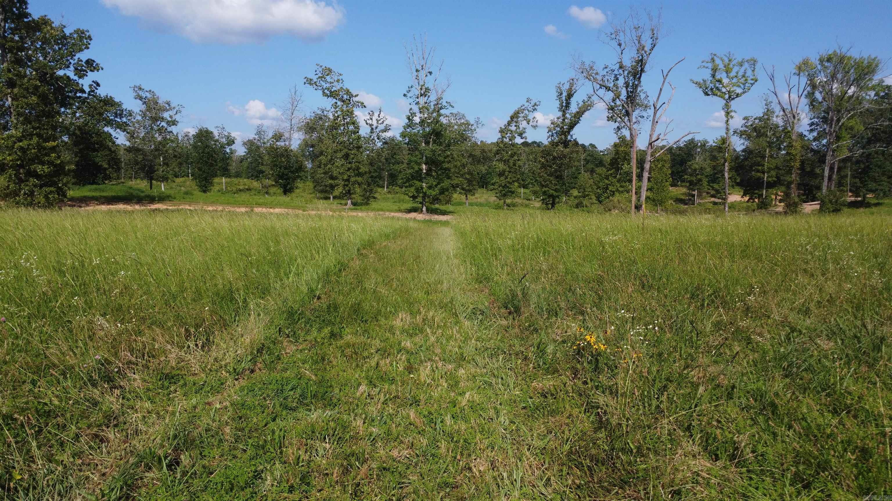 (Tract 07) TBD Whittington Homestead  Story, AR