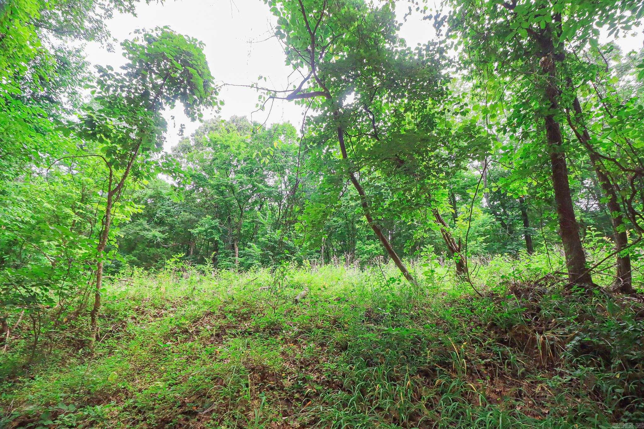 1 County Road 160  Jonesboro, AR