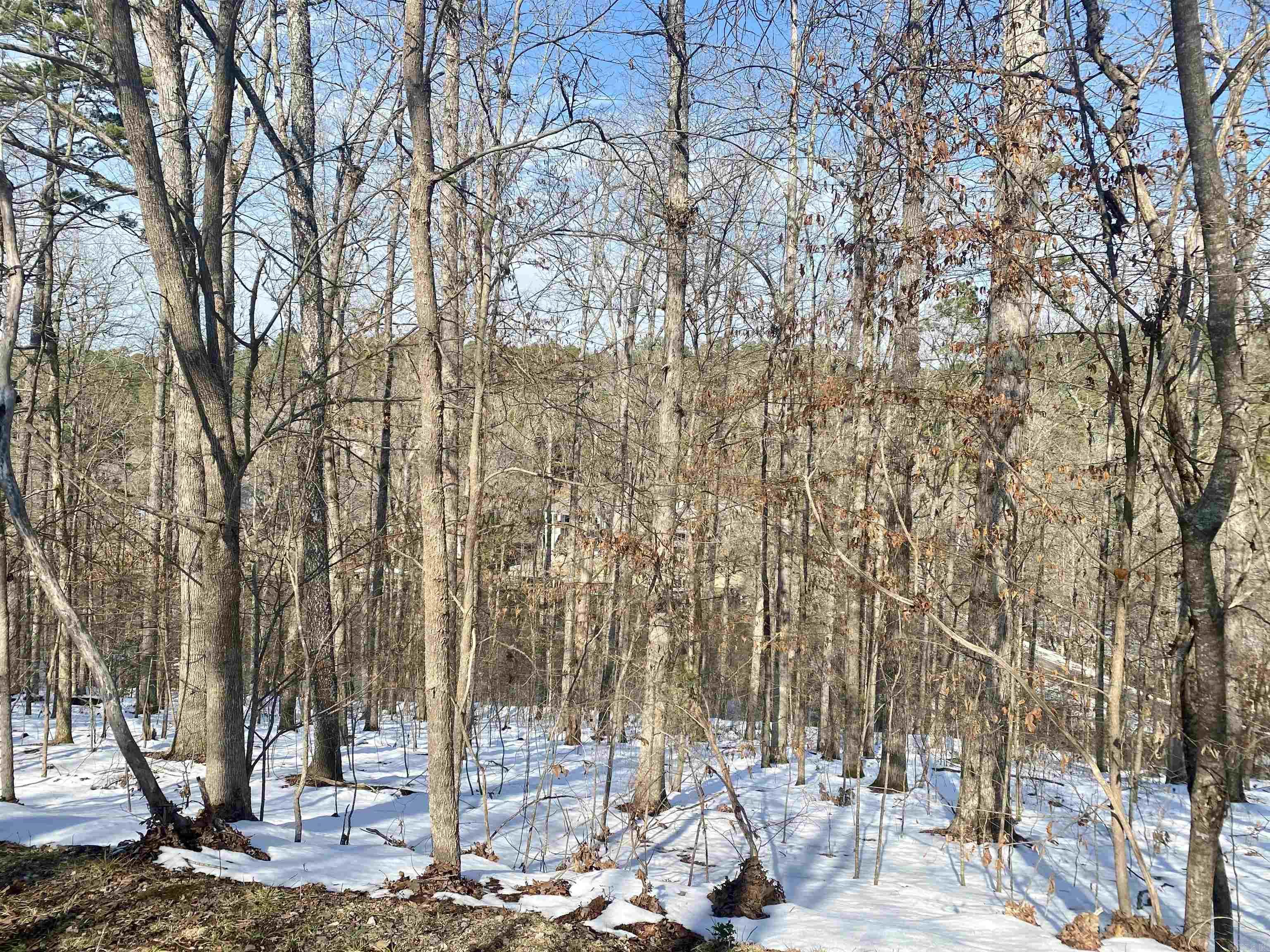 15 Delavega  Hot Springs Village, AR