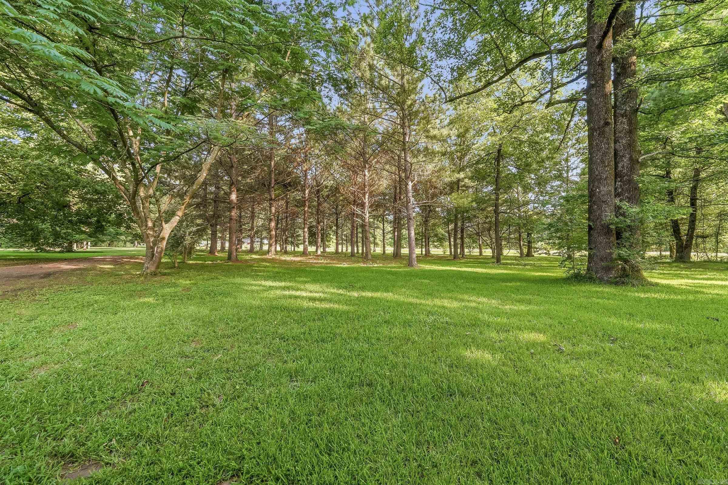 111 Angel Walk Ln  De Queen, AR