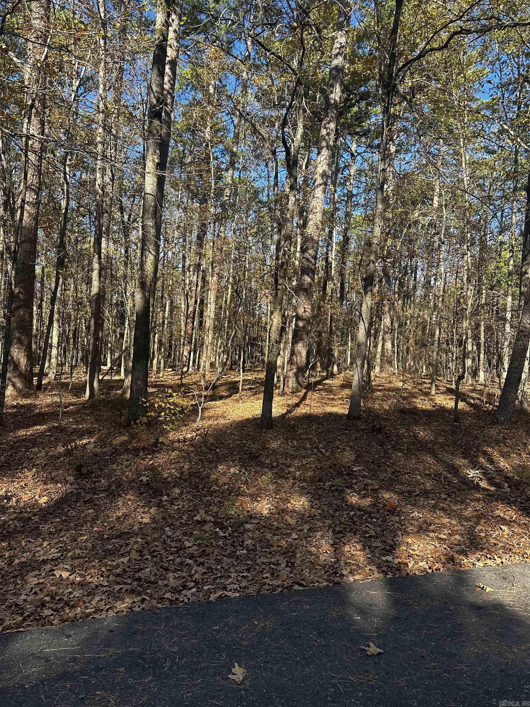 4 Holgar  Hot Springs Village, AR