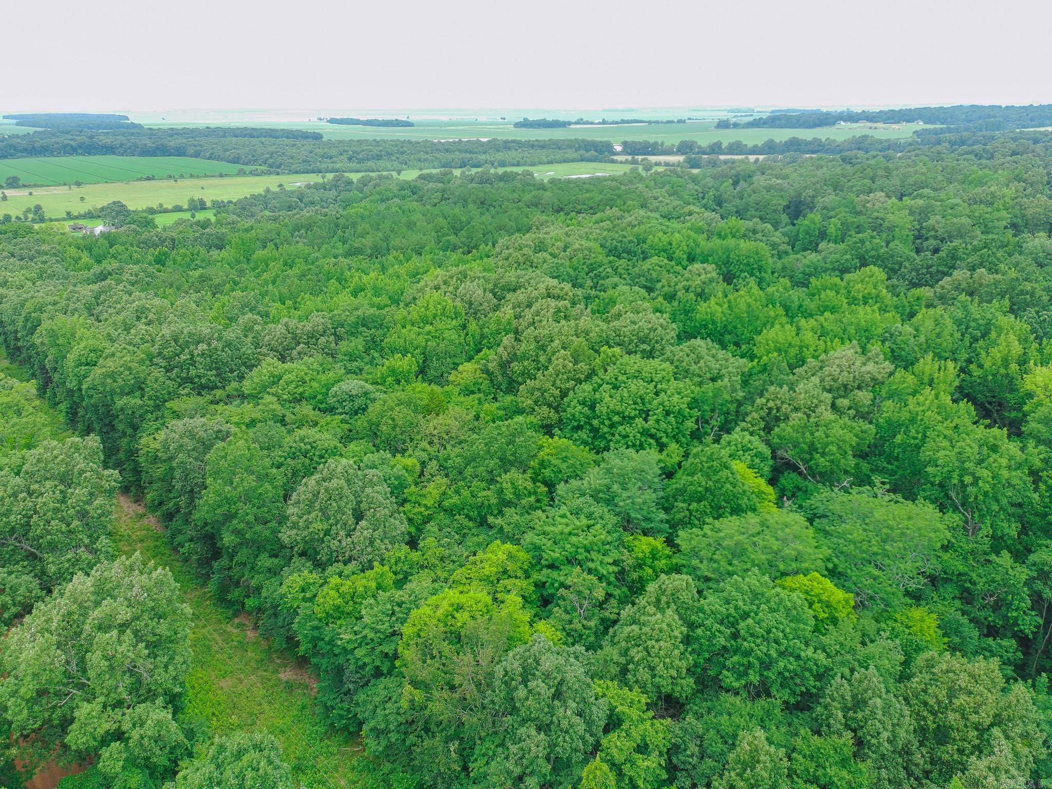 2 County Road 160  Jonesboro, AR