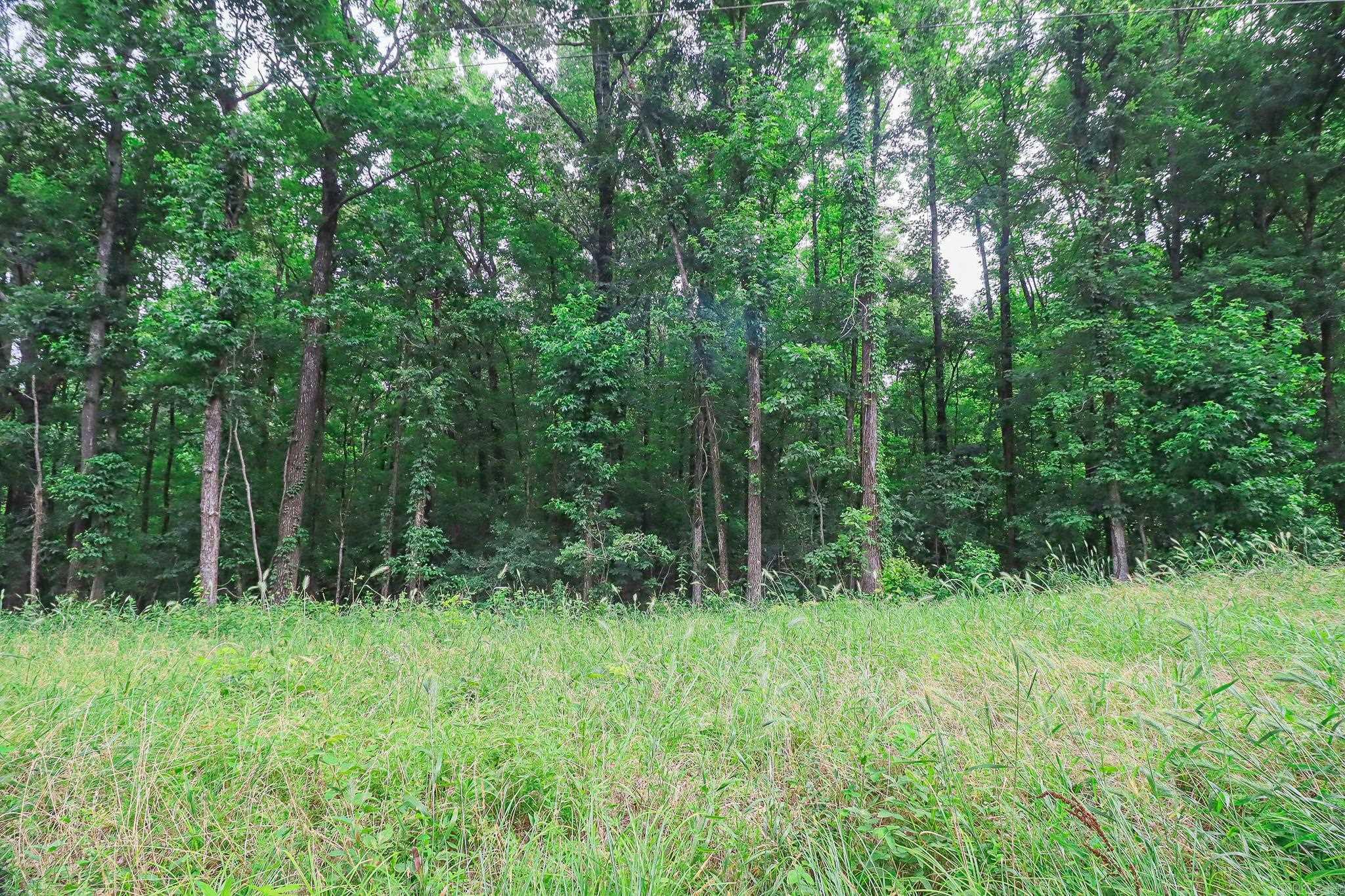 2 County Road 160  Jonesboro, AR