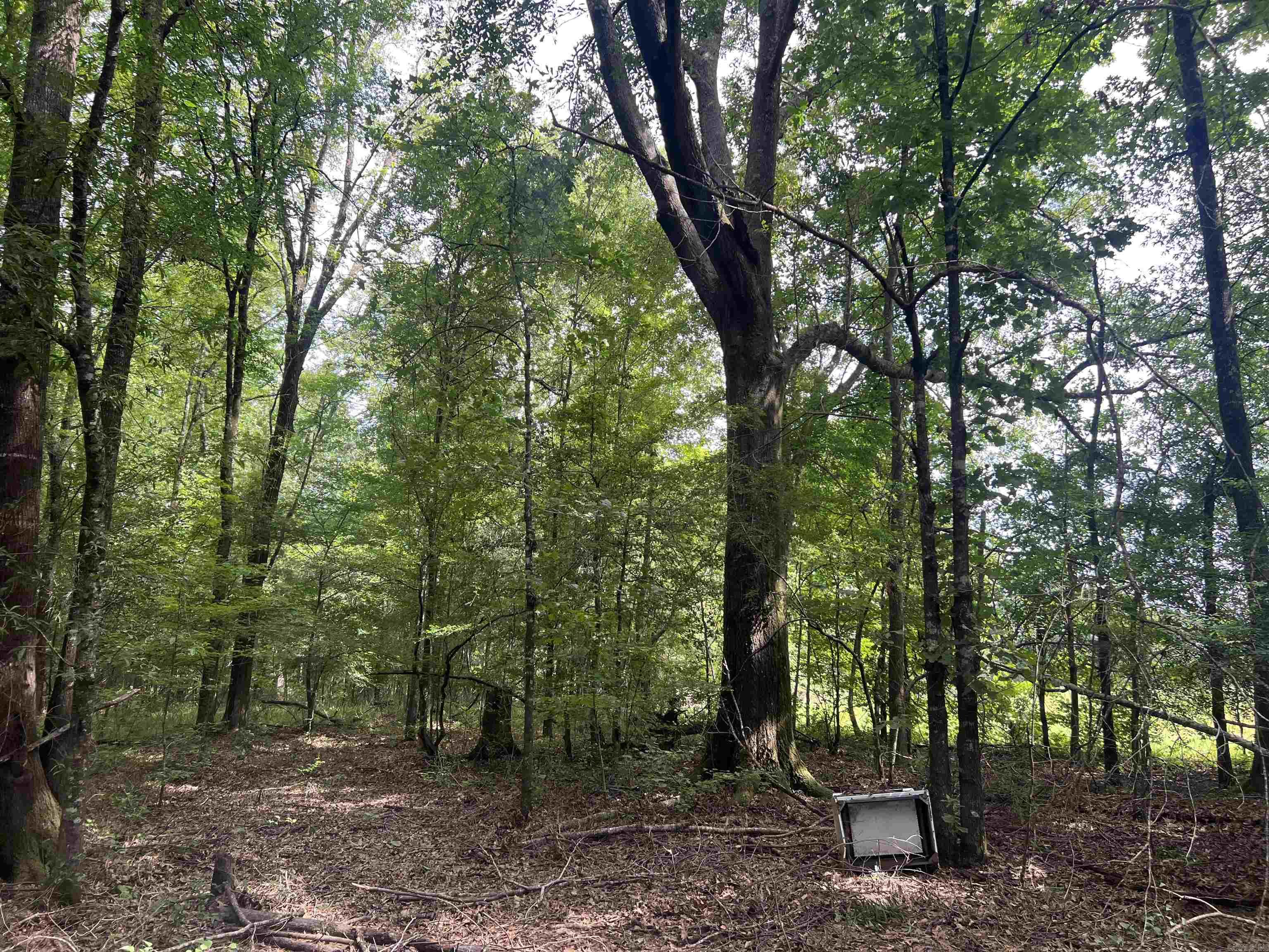 4654 Calhoun 22  Hampton, AR
