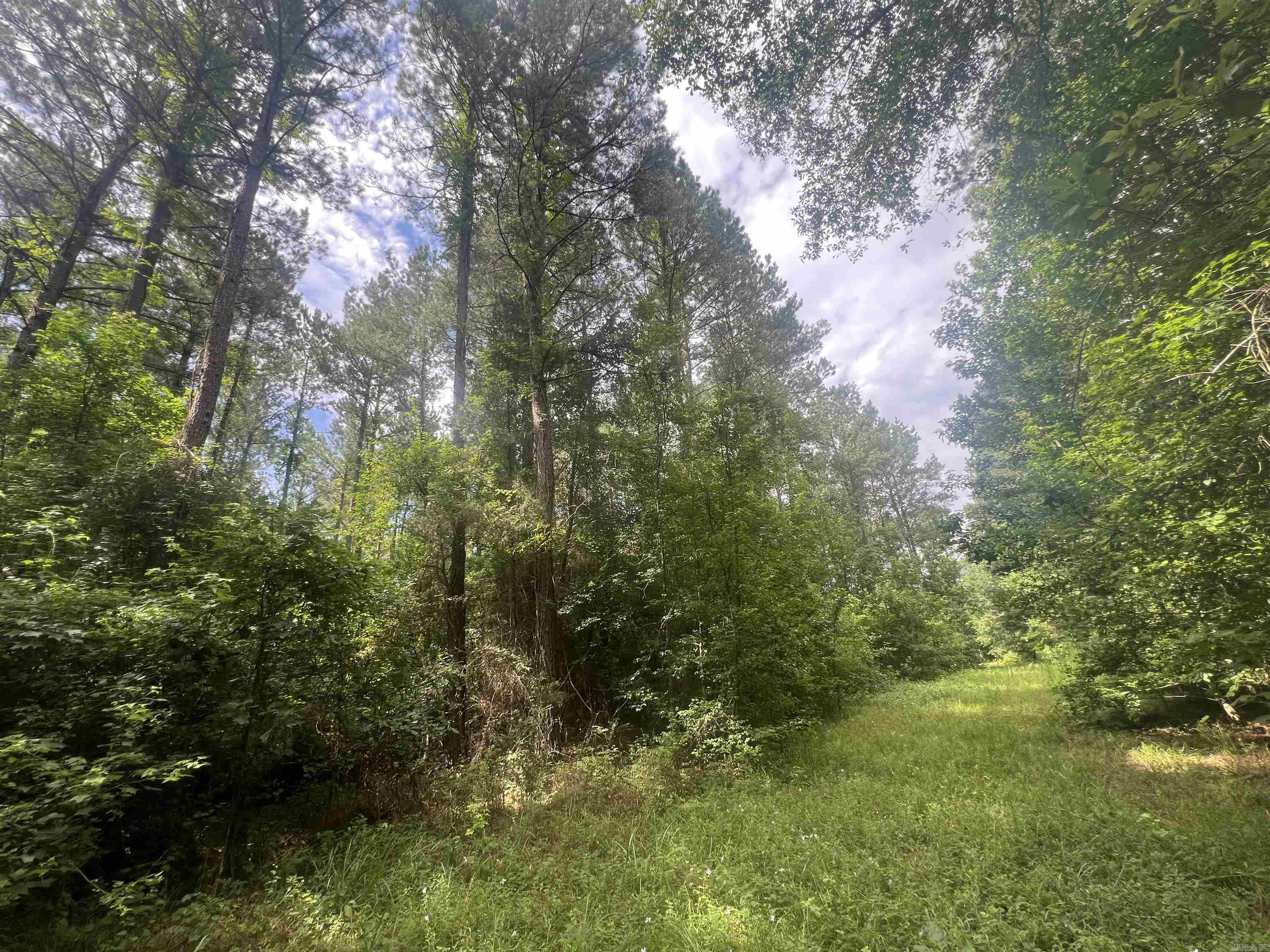 4654 Calhoun 22  Hampton, AR
