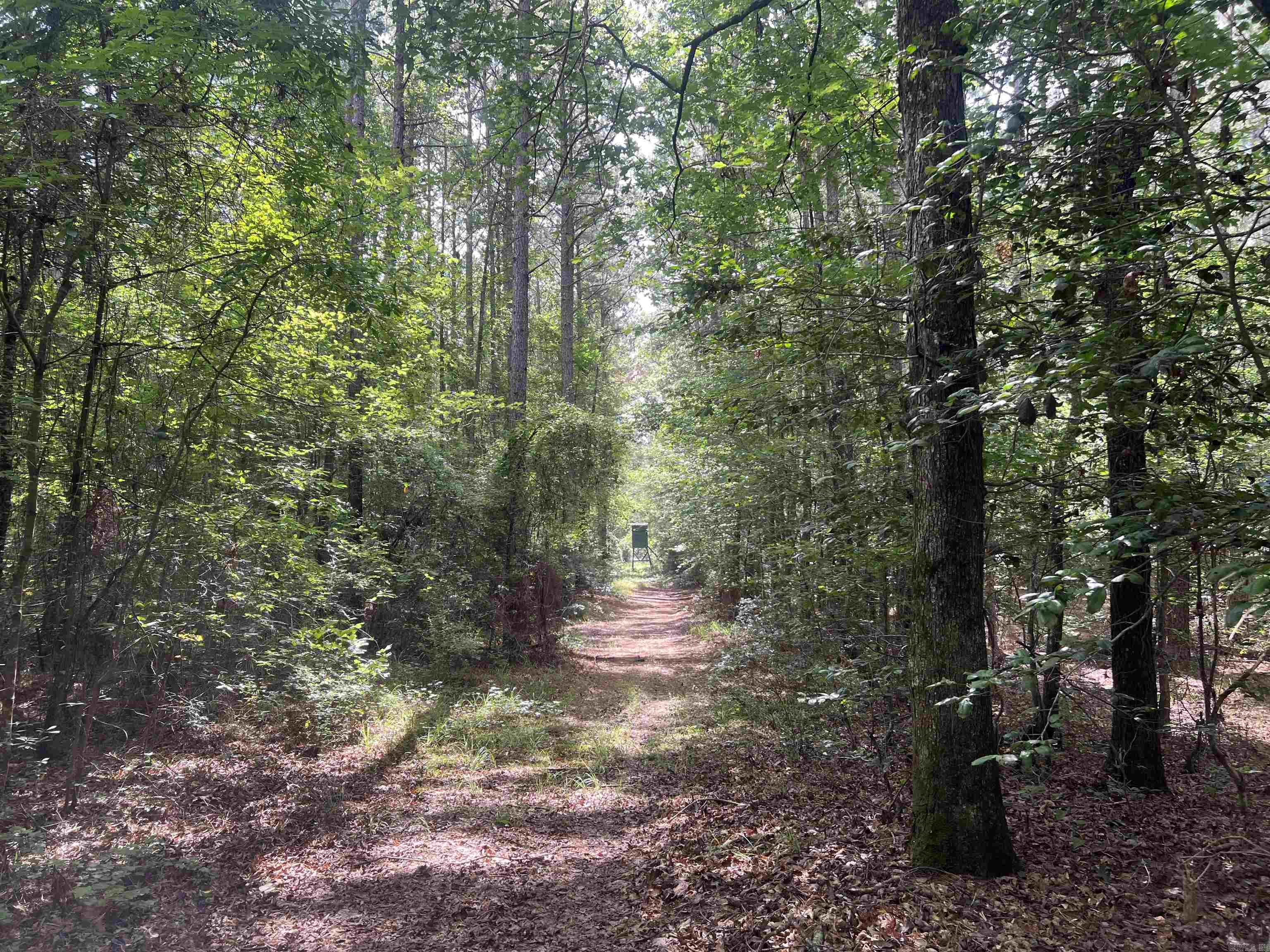 4654 Calhoun 22  Hampton, AR