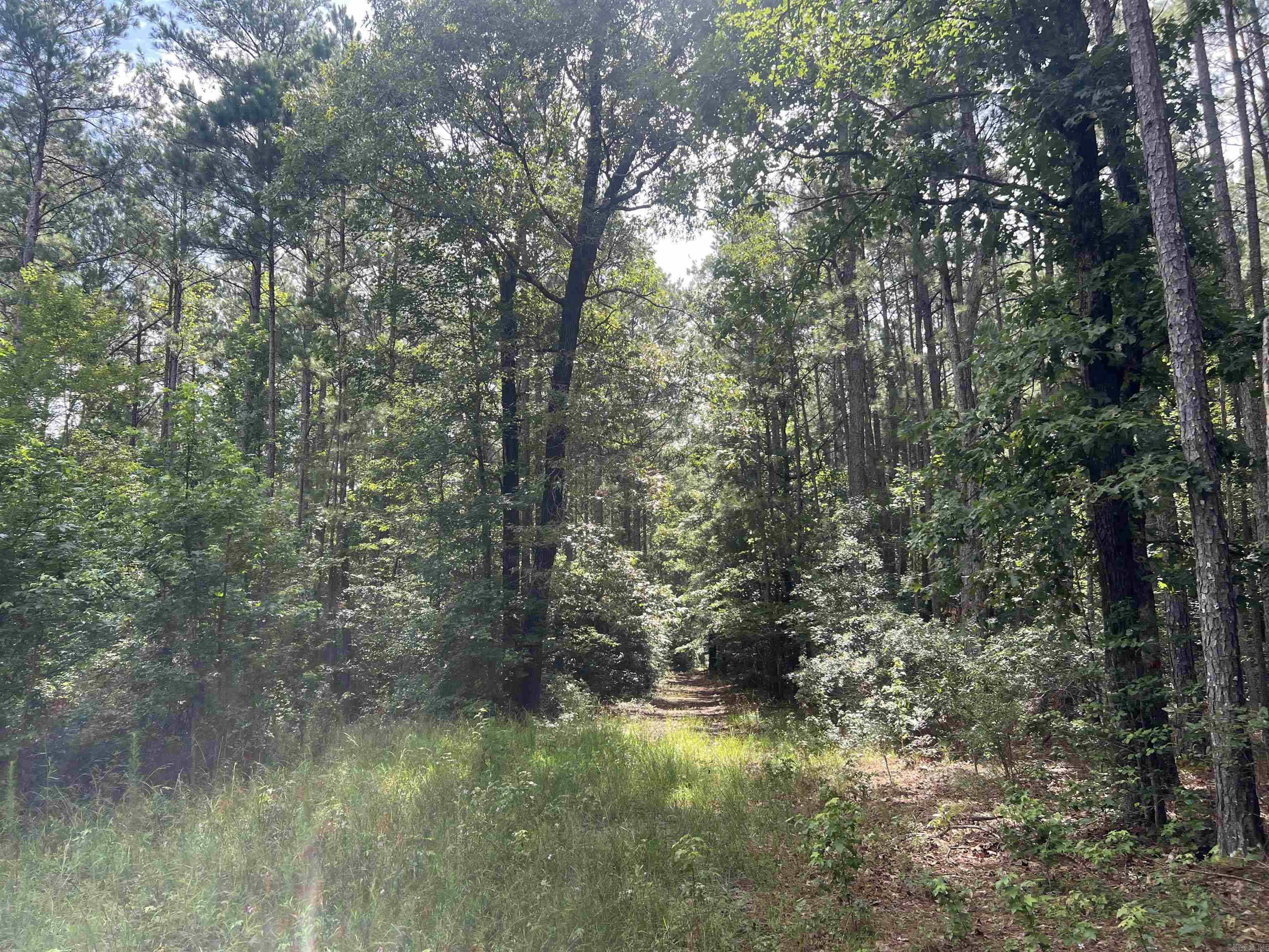 4654 Calhoun 22  Hampton, AR
