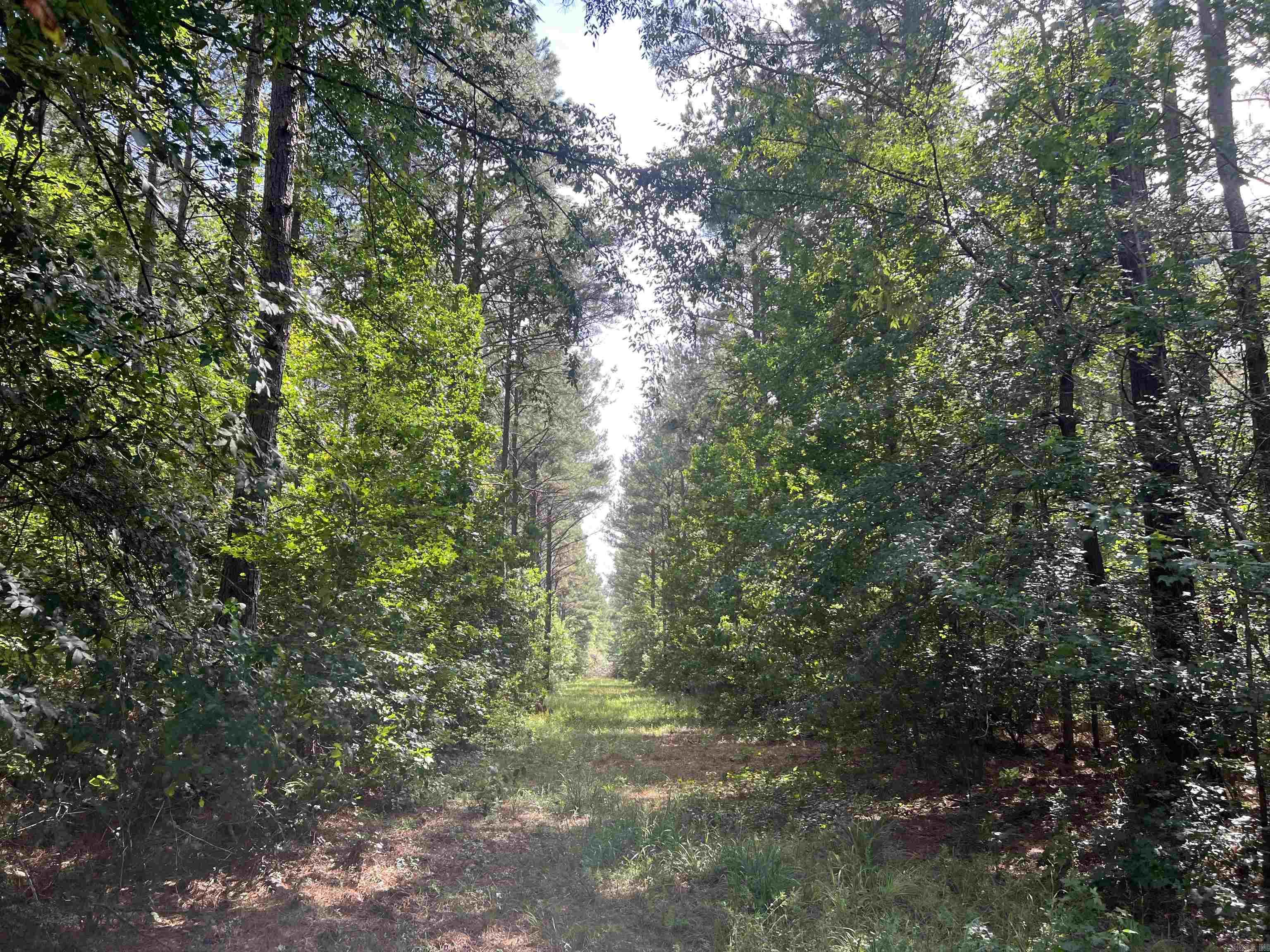 4654 Calhoun 22  Hampton, AR