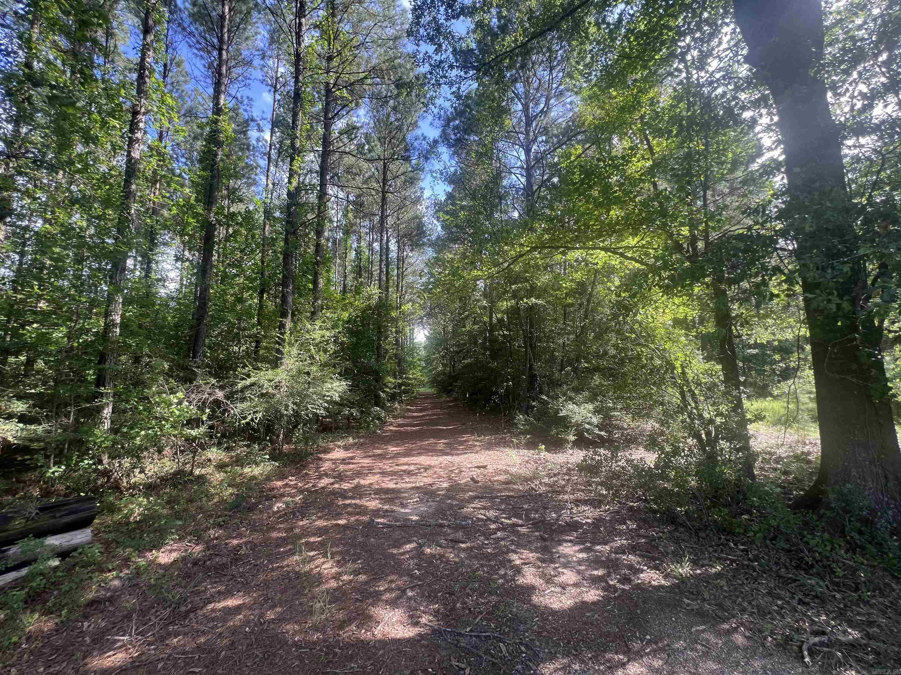 4654 Calhoun 22  Hampton, AR