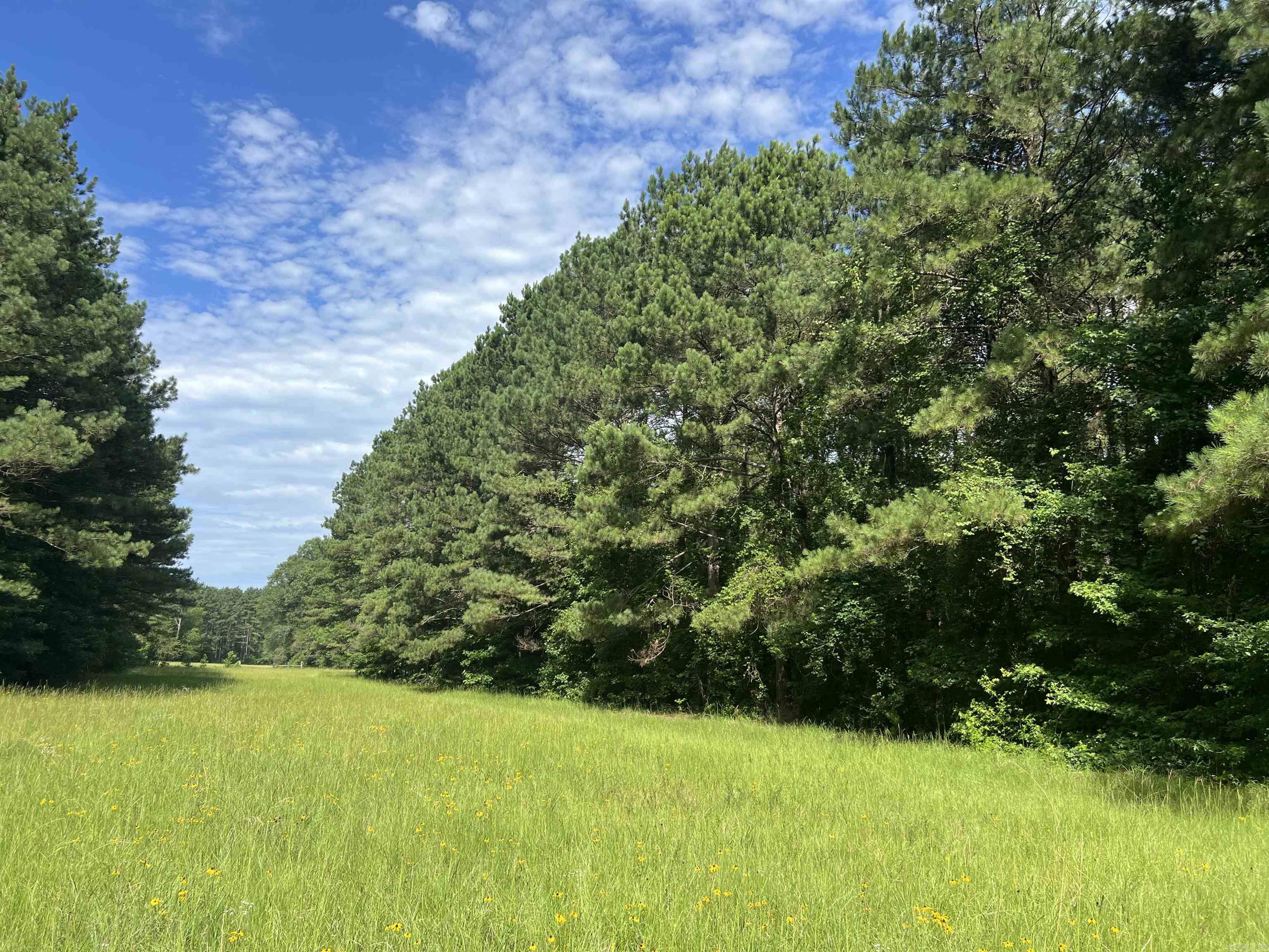 4654 Calhoun 22  Hampton, AR