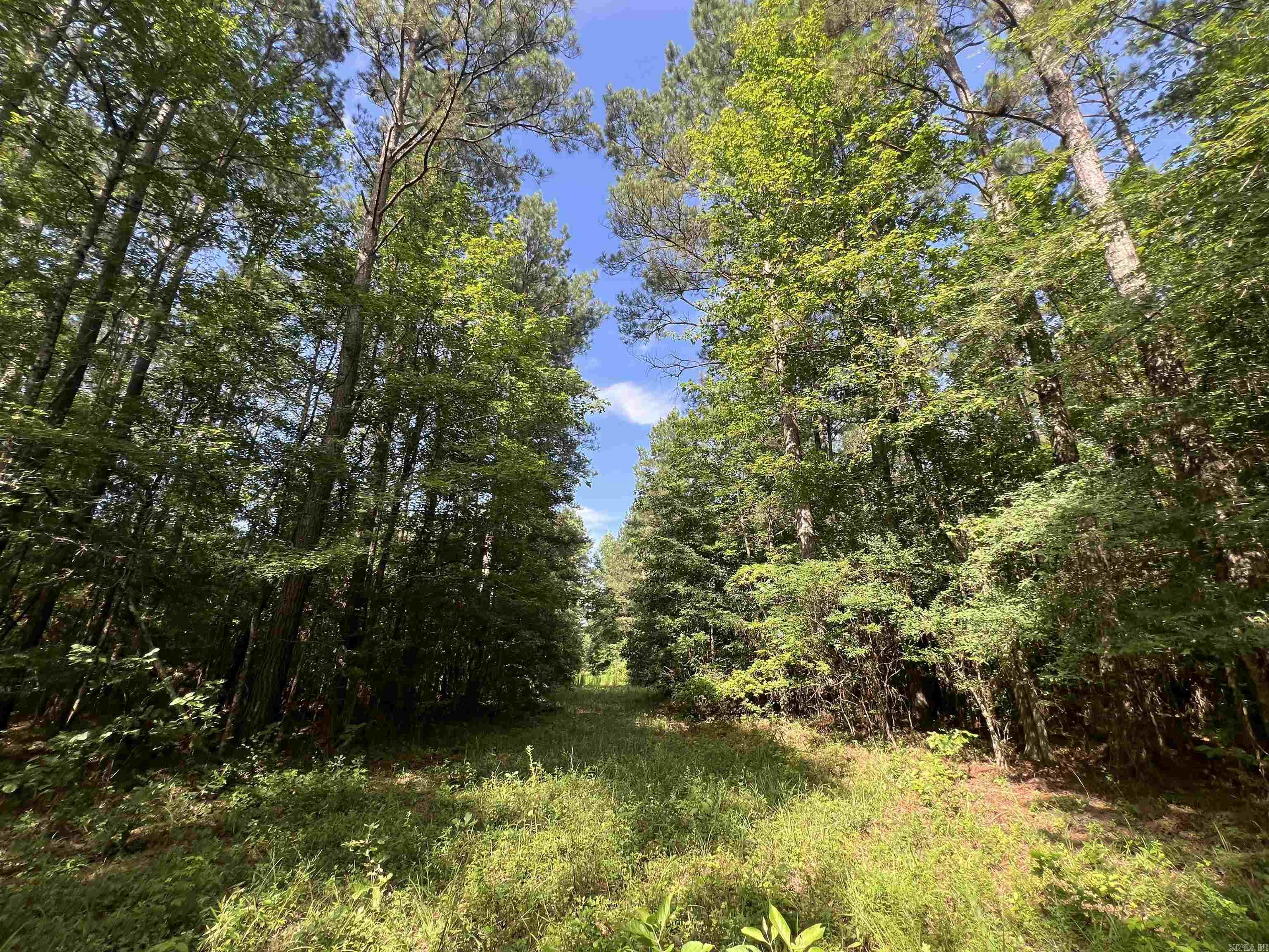 4654 Calhoun 22  Hampton, AR