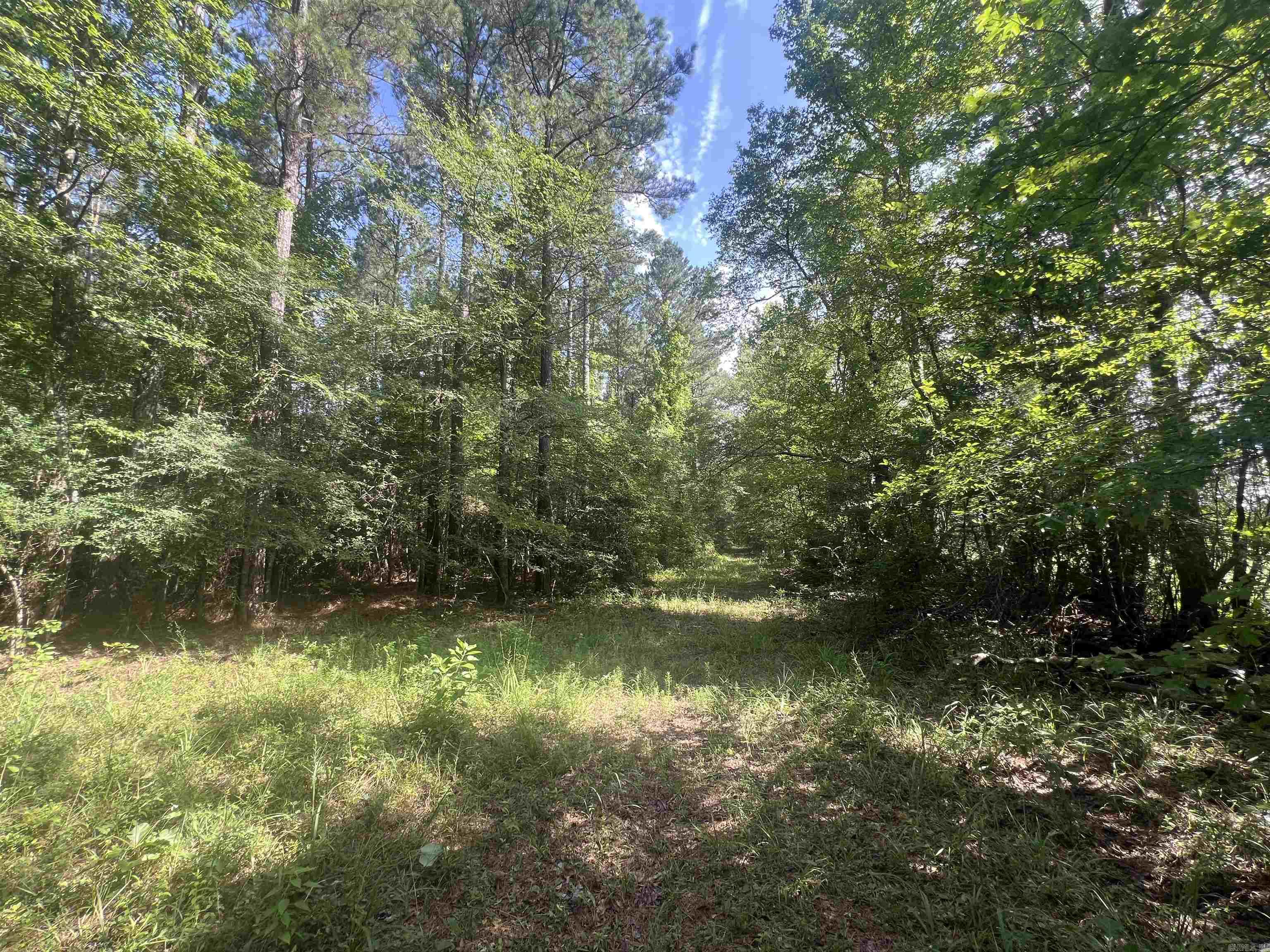 4654 Calhoun 22  Hampton, AR