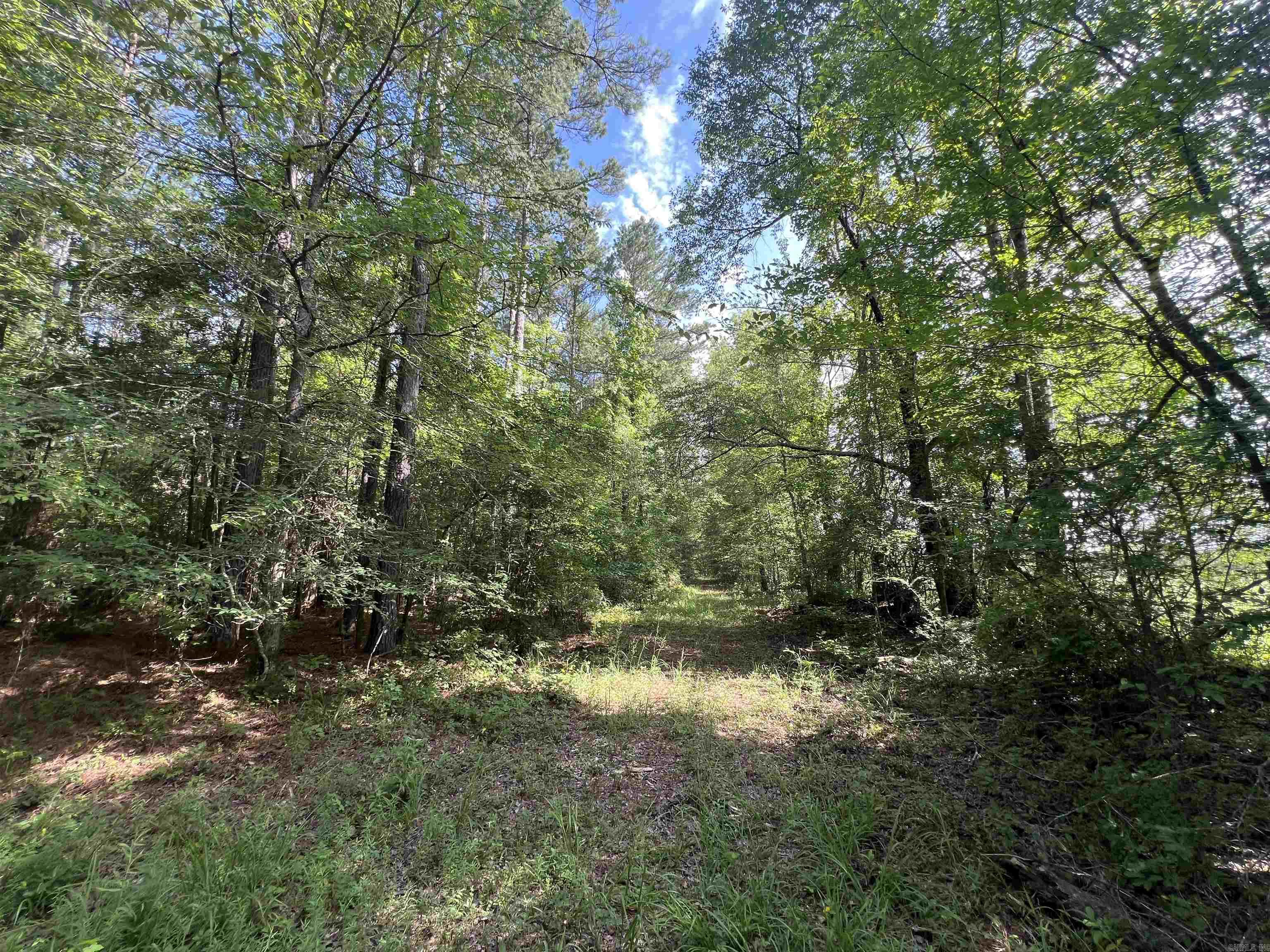 4654 Calhoun 22  Hampton, AR
