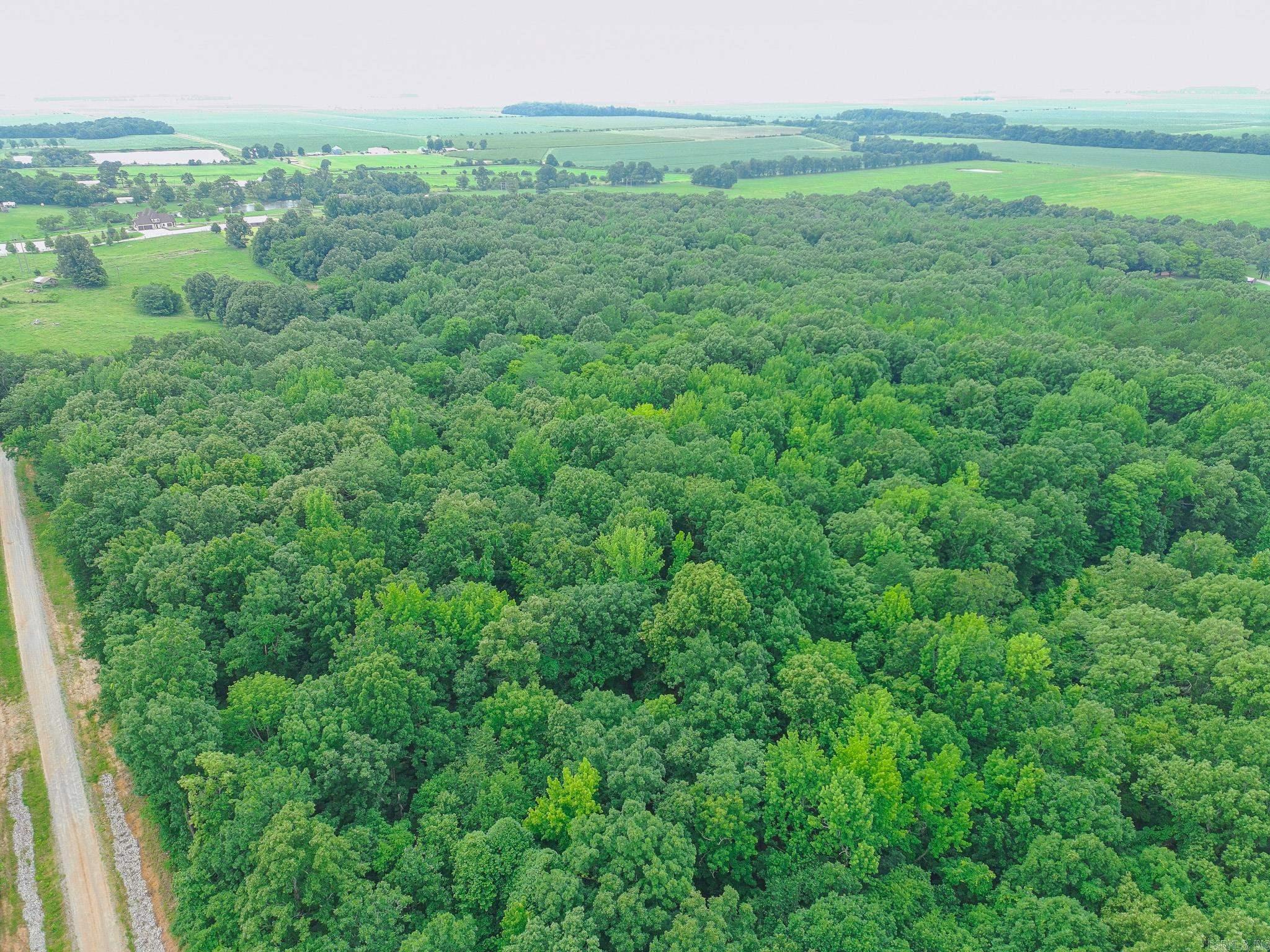 3 County Road 160  Jonesboro, AR